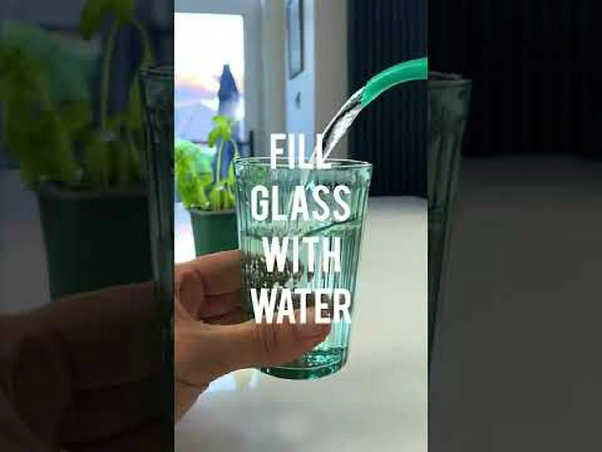 バジルを室内で育てる方法: 植物を成長させるための簡単な手順 バジルを室内で育てる方法: 植物を成長させるための簡単な手順