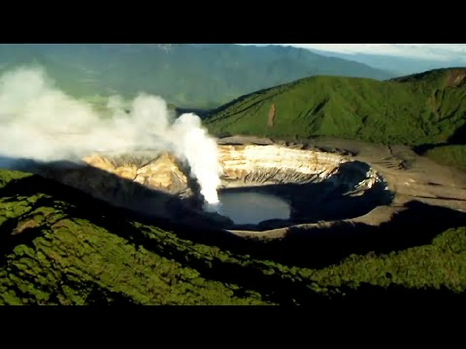 コスタリカで見つかった 8 つの素晴らしい魚を発見 コスタリカで見つかった 8 つの素晴らしい魚を発見