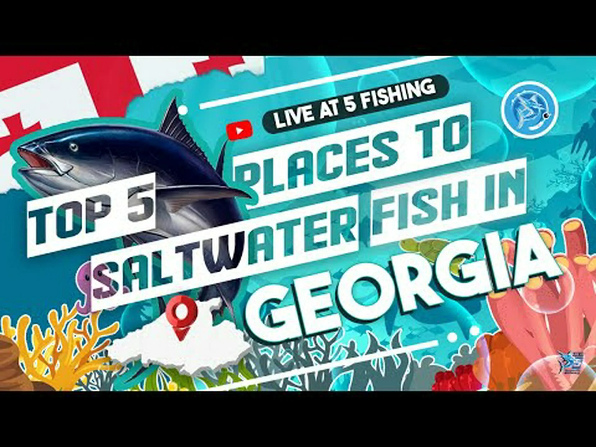 この夏ジョージア州で釣れる最高の魚 6 選 この夏ジョージア州で釣れる最高の魚 6 選