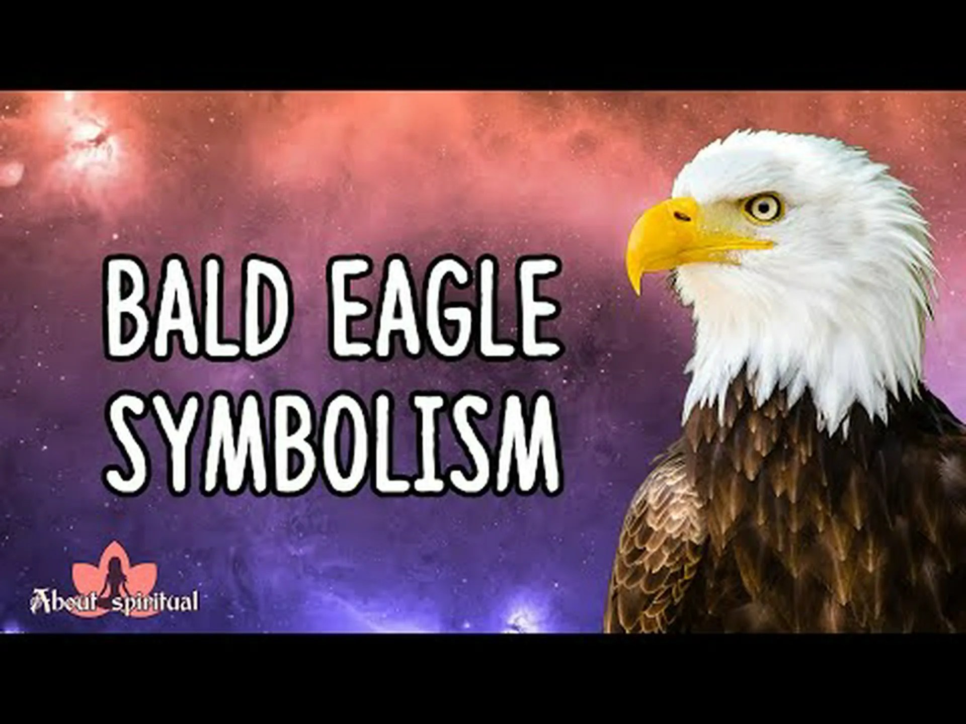 ハクトウワシを見たときの 5 つの意味と兆候を発見する ハクトウワシを見たときの 5 つの意味と兆候を発見する