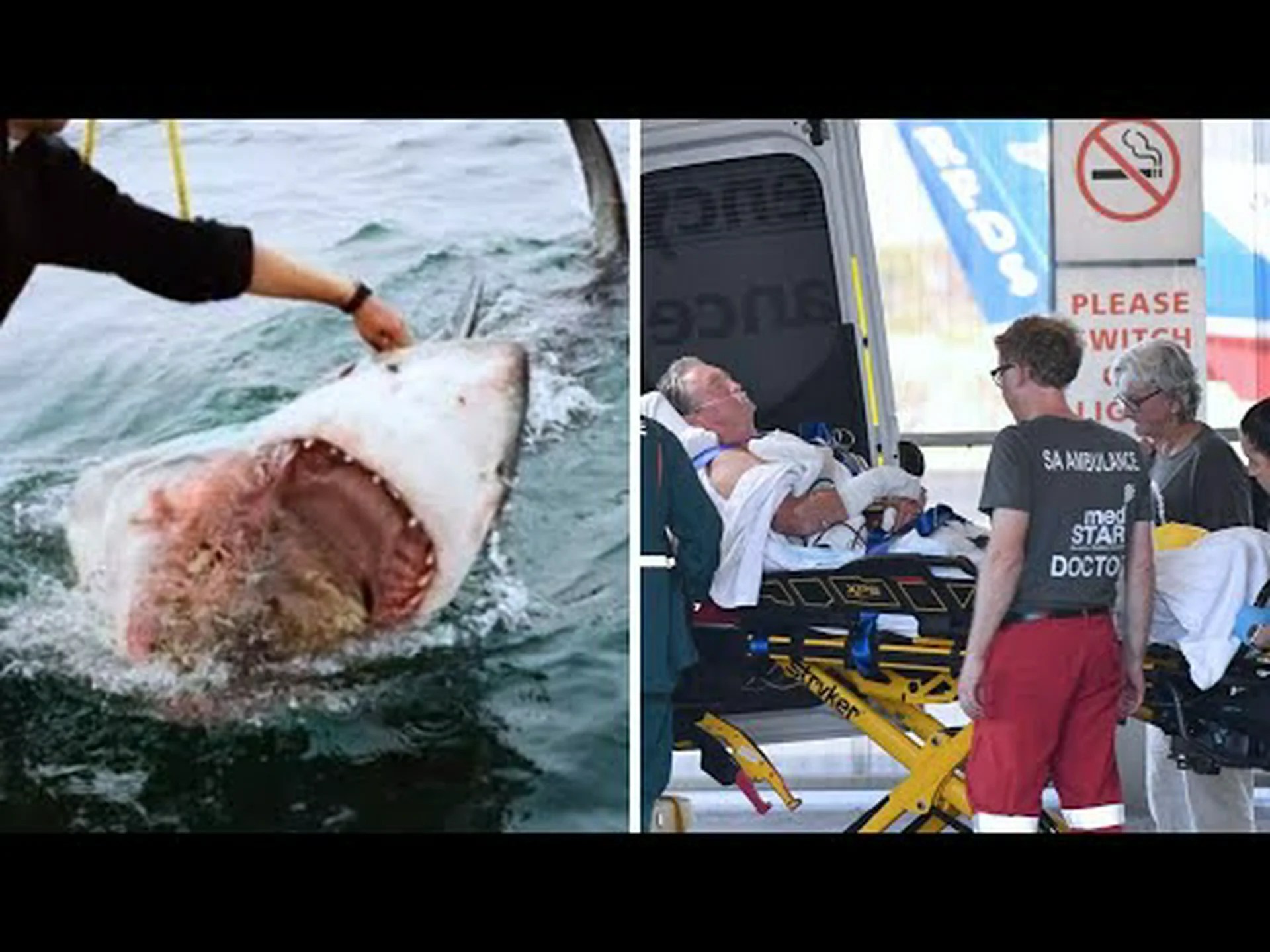 ジョージア州のサメが出没する海域:昨年サメの襲撃が起きた場所 ジョージア州のサメが出没する海域:昨年サメの襲撃が起きた場所