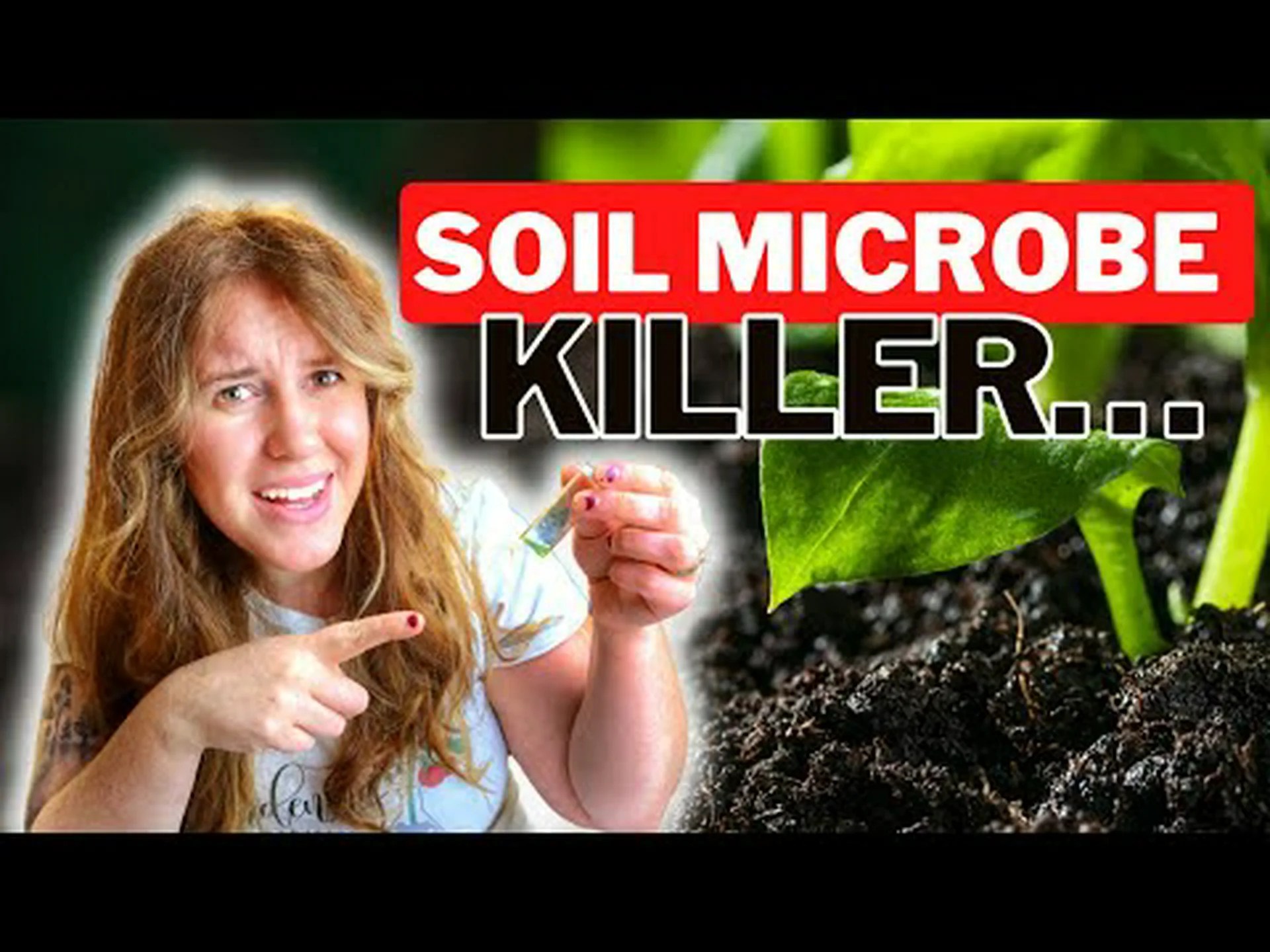 あなたの庭に合成肥料を購入する5つの理由 あなたの庭に合成肥料を購入する5つの理由