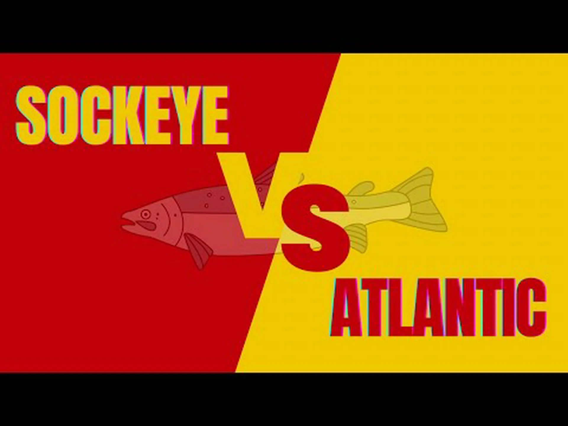 ベニザケとアトランティックサーモンの違いは何ですか? ベニザケとアトランティックサーモンの違いは何ですか?