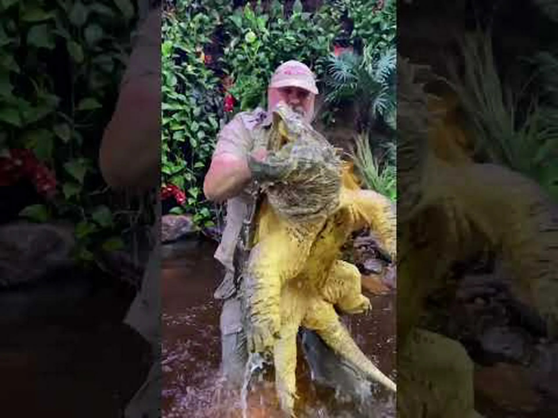 史上最大のカミツキガメを発見 史上最大のカミツキガメを発見