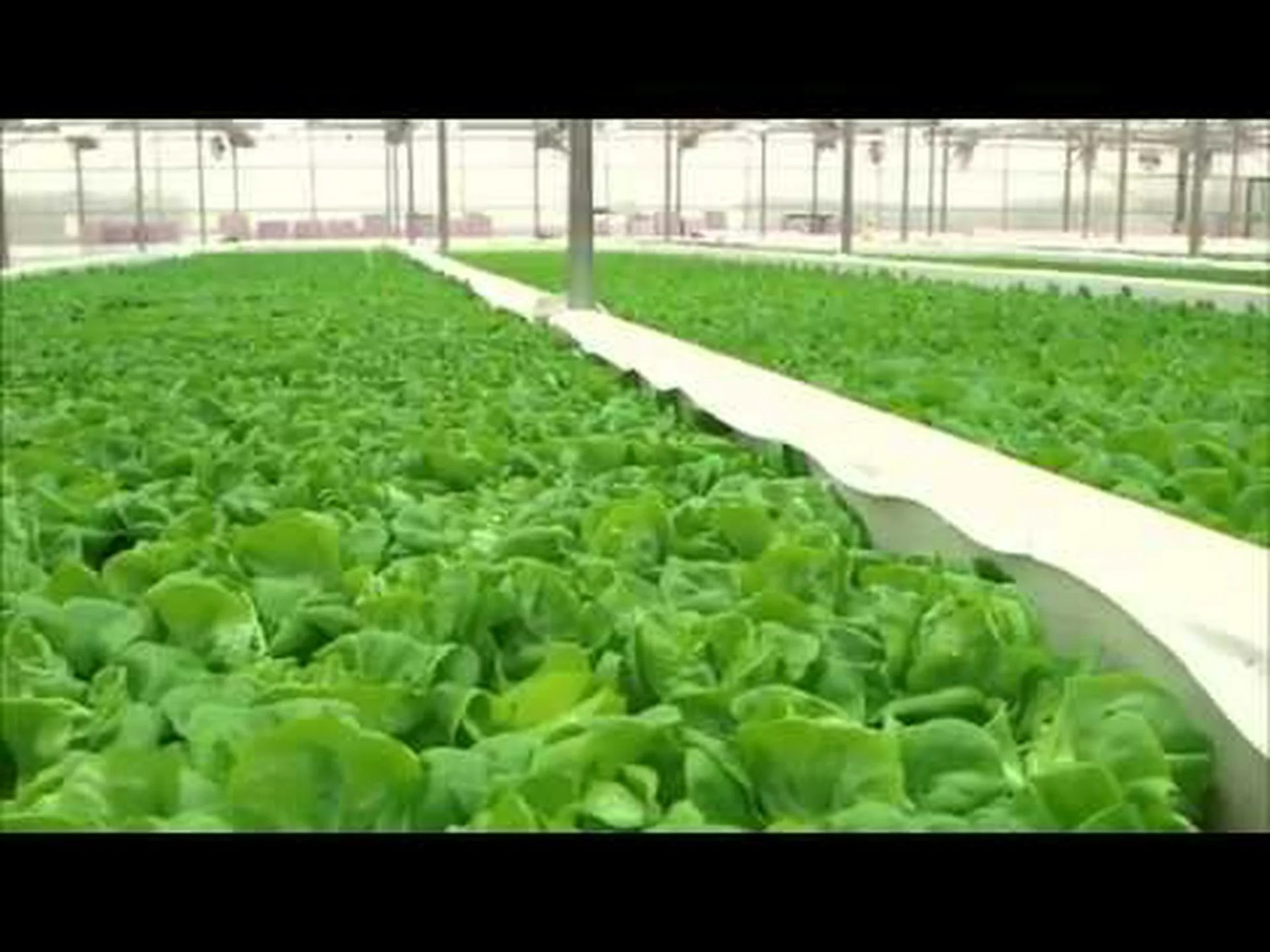 ウィスコンシン州がアメリカの酪農場と呼ばれる理由を知る ウィスコンシン州がアメリカの酪農場と呼ばれる理由を知る