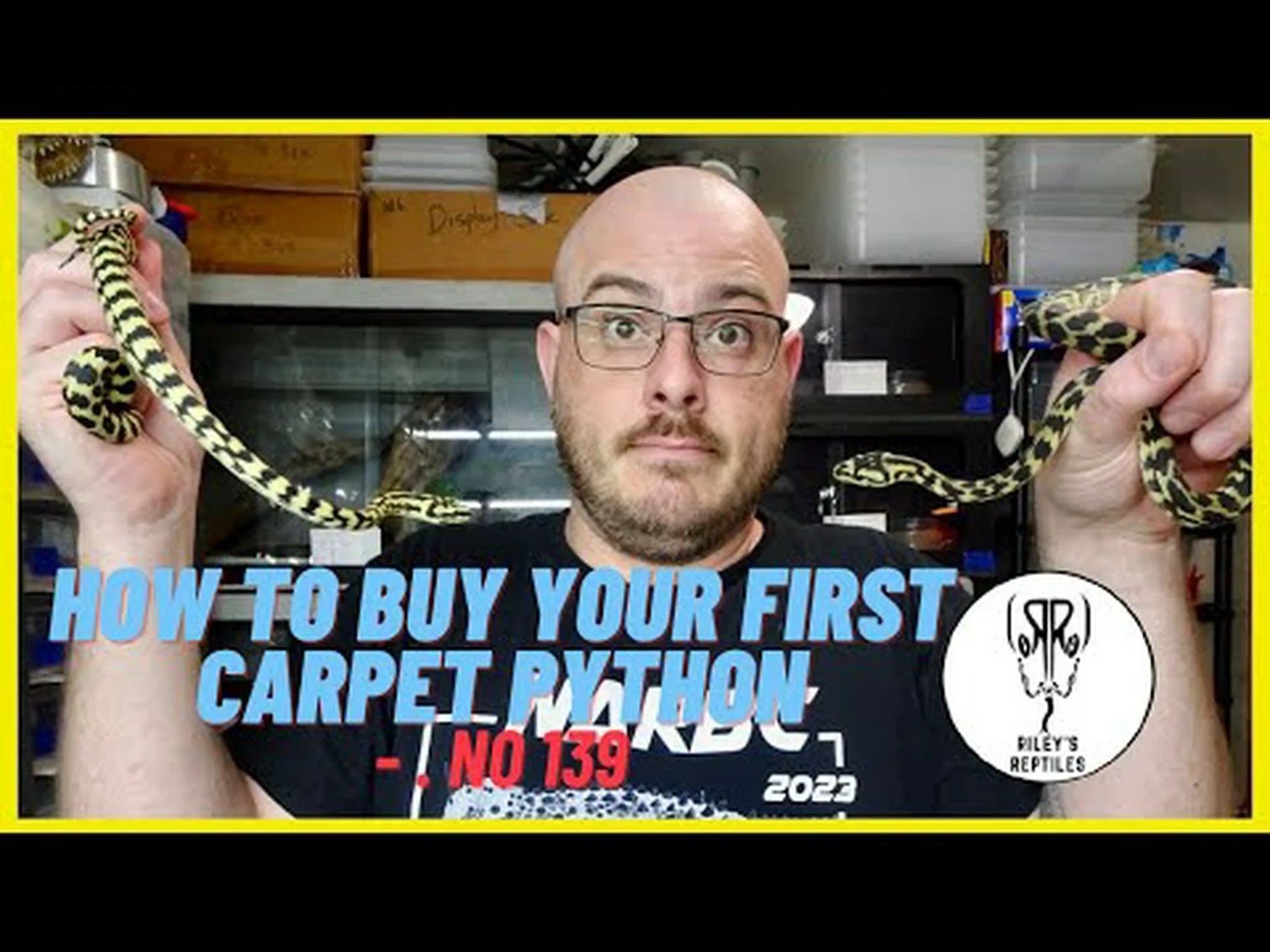 自動販売機に閉じ込められたカーペットパイソンを見てください! 自動販売機に閉じ込められたカーペットパイソンを見てください!