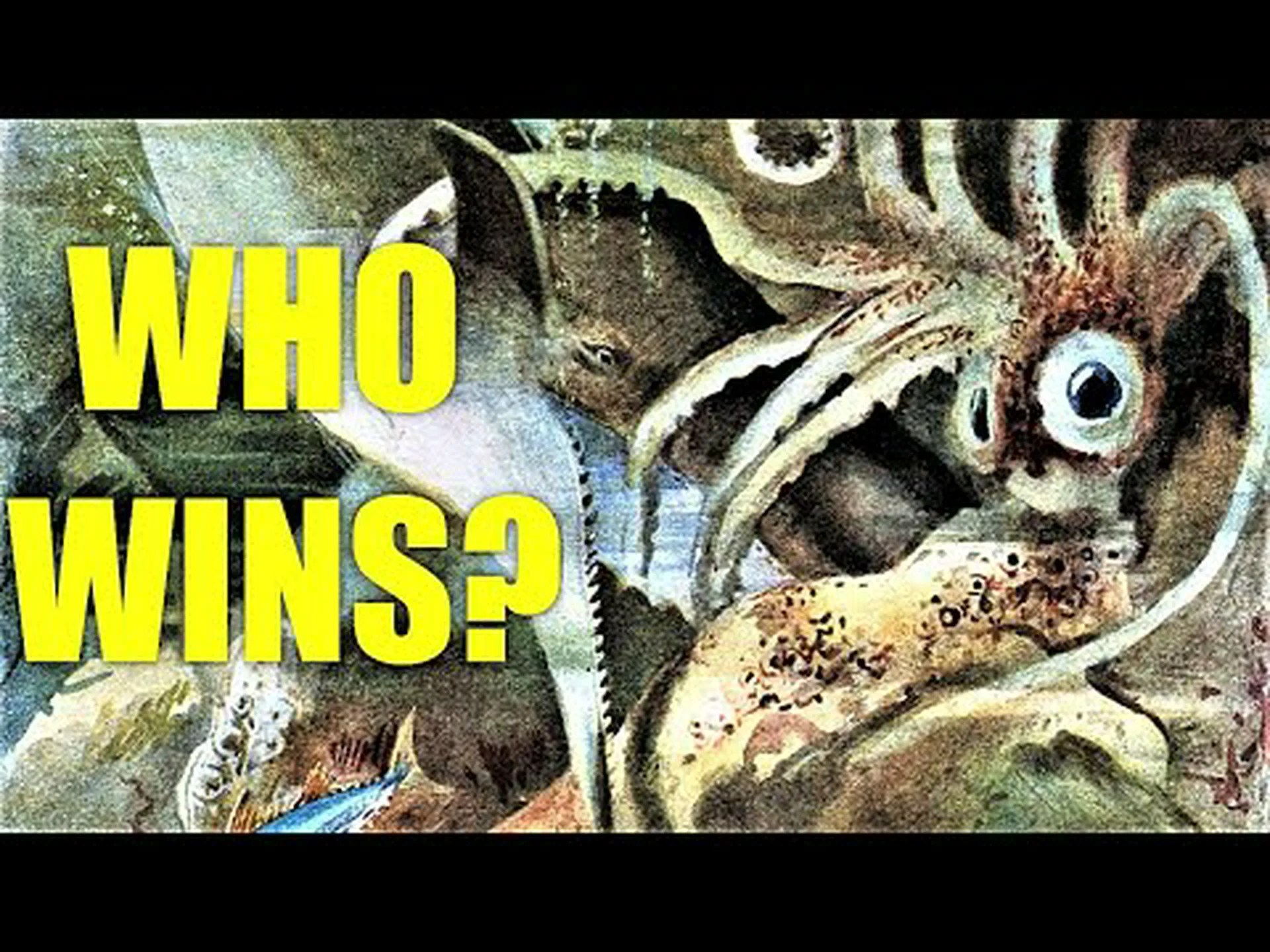 「白鯨」のマッコウクジラの戦いを鑑賞し、巨大イカを貪り食う 「白鯨」のマッコウクジラの戦いを鑑賞し、巨大イカを貪り食う