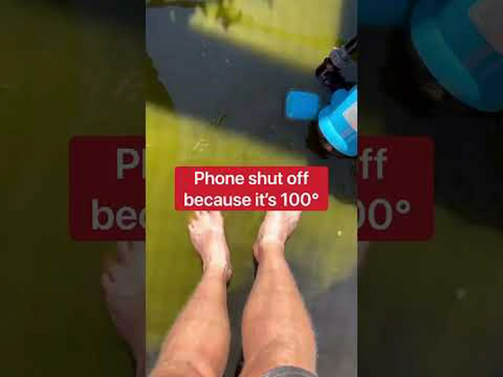 この巨大なカミツキガメが柔らかくなり、優しいペットになるのを観察してください この巨大なカミツキガメが柔らかくなり、優しいペットになるのを観察してください