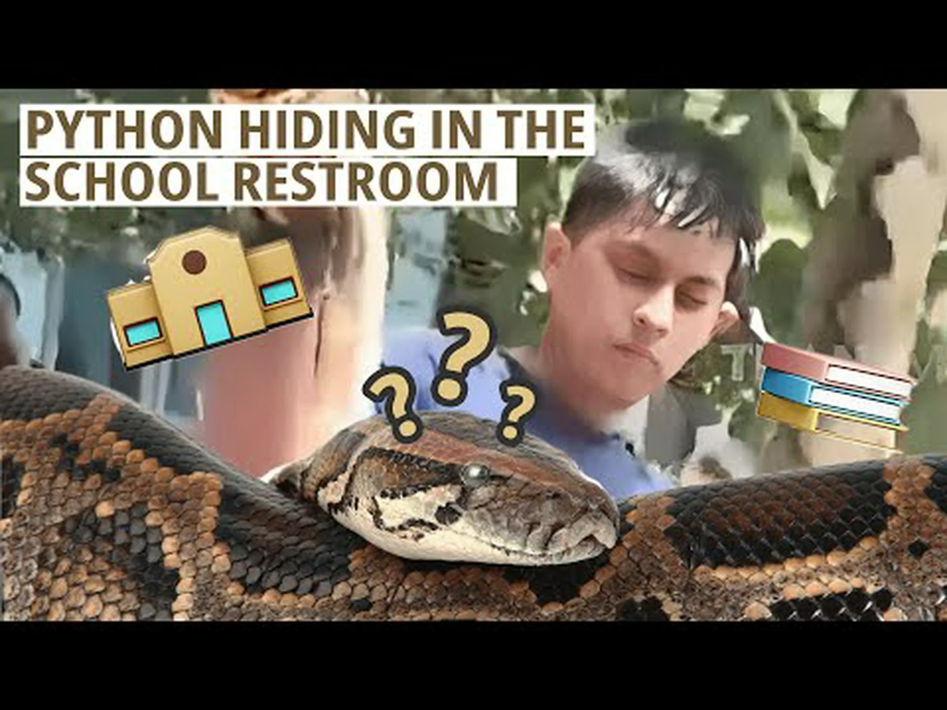 ペンシルベニア州の学校の送迎エリアでくつろぐニシキヘビが発見される ペンシルベニア州の学校の送迎エリアでくつろぐニシキヘビが発見される