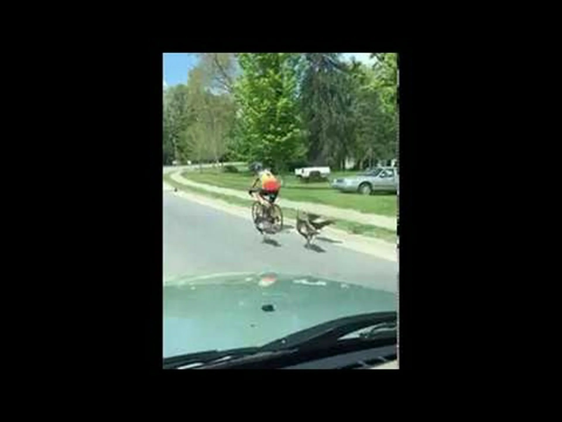 自転車に乗って、自転車を発進させて道路を追いかけるトルコの一団を追い越す 自転車に乗って、自転車を発進させて道路を追いかけるトルコの一団を追い越す