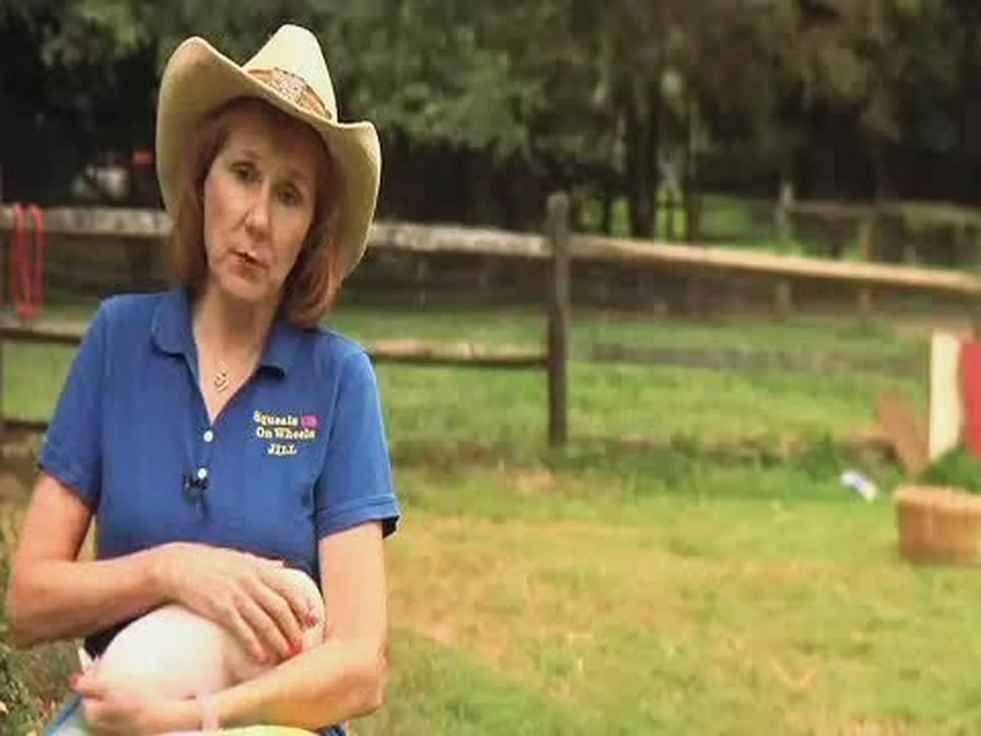 ティーカップピッグはどれくらい大きくなりますか? ティーカップピッグはどれくらい大きくなりますか?