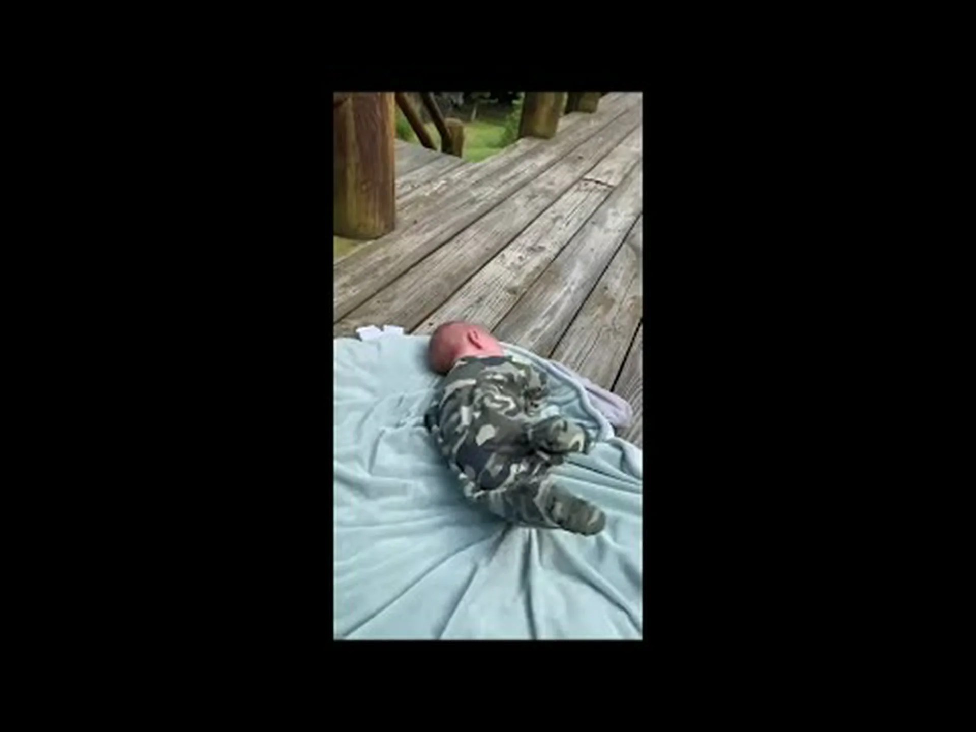 好奇心旺盛な鹿が偶然に生み出した史上最も平和な風景 好奇心旺盛な鹿が偶然に生み出した史上最も平和な風景