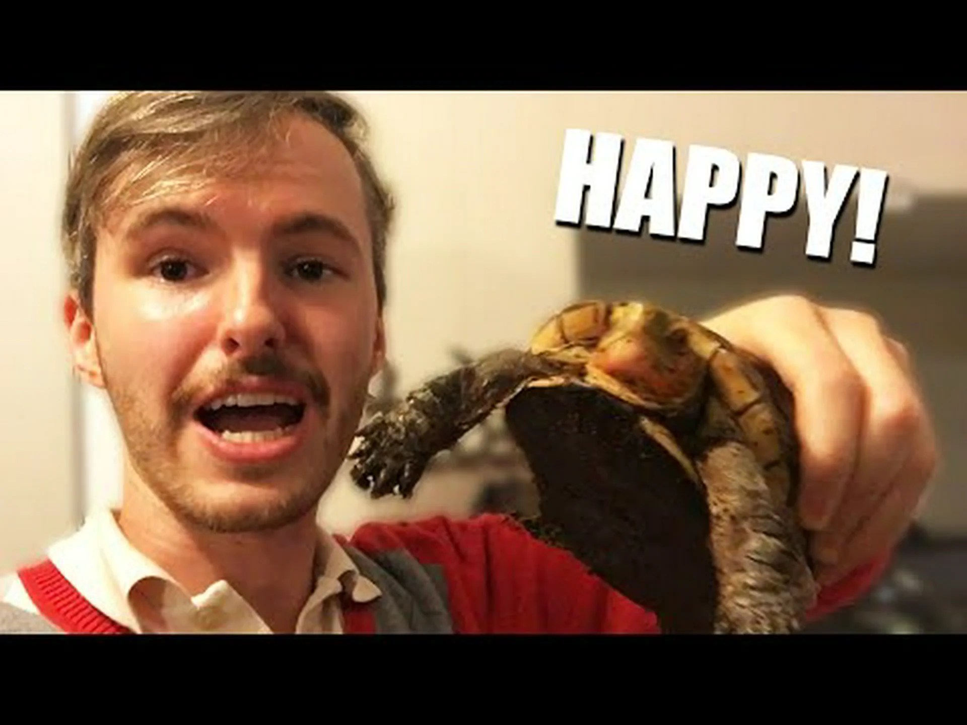 世界で最もかわいい10匹のカメをご紹介します 世界で最もかわいい10匹のカメをご紹介します