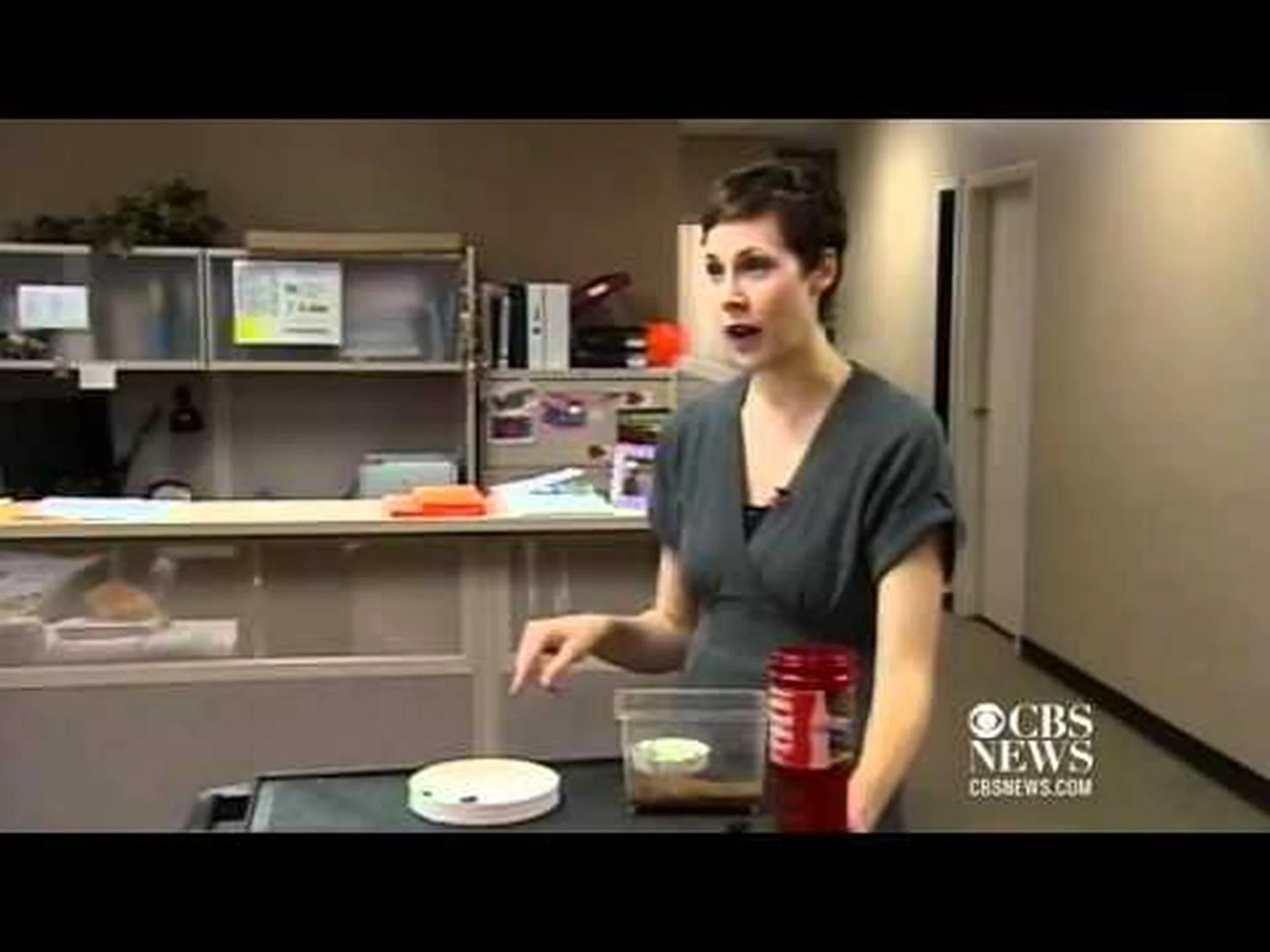 サンアントニオの周りを這う12匹のクモ サンアントニオの周りを這う12匹のクモ