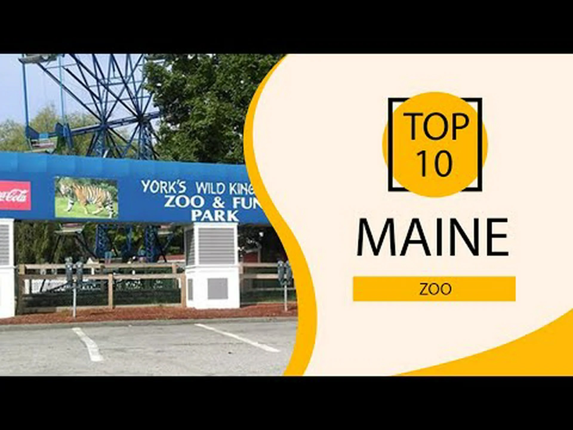 メイン州のベスト動物園 3 つを発見 (それぞれの動物園を訪れるのに最適な時期) メイン州のベスト動物園 3 つを発見 (それぞれの動物園を訪れるのに最適な時期)