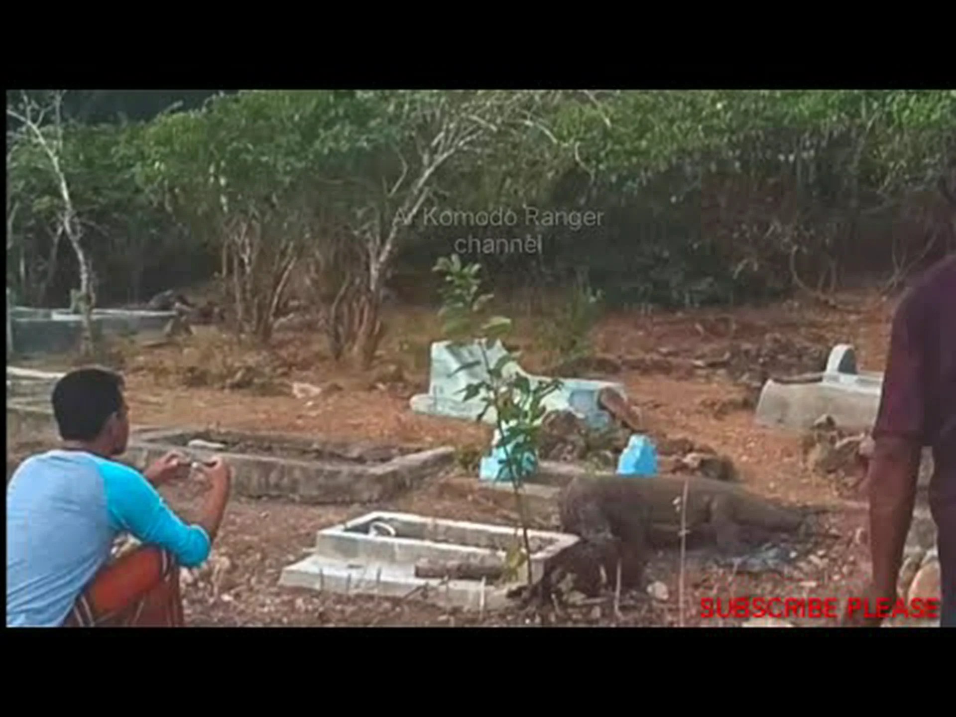 コモドオオトカゲはなぜ人間の墓を掘り起こすのか、そして彼らはどのようにして墓の場所を知っているのでしょうか? コモドオオトカゲはなぜ人間の墓を掘り起こすのか、そして彼らはどのようにして墓の場所を知っているのでしょうか?