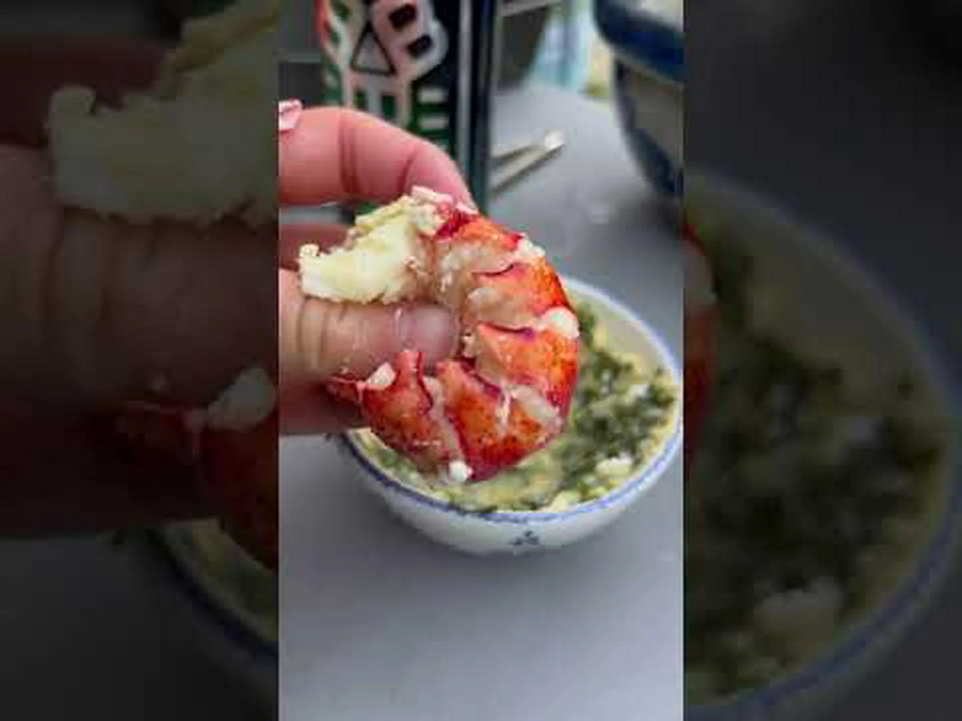 メイン州のロブスターの季節はいつですか?ロブスターを買って食べるのに最適な時期 メイン州のロブスターの季節はいつですか?ロブスターを買って食べるのに最適な時期