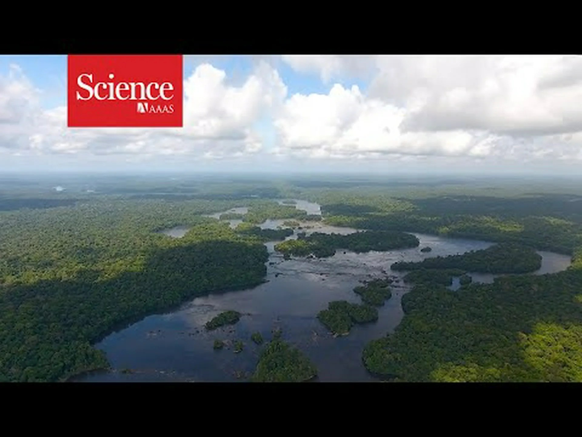 大地震がどのようにしてテネシー州最大の湖をミシシッピ川から切り離したのか 大地震がどのようにしてテネシー州最大の湖をミシシッピ川から切り離したのか