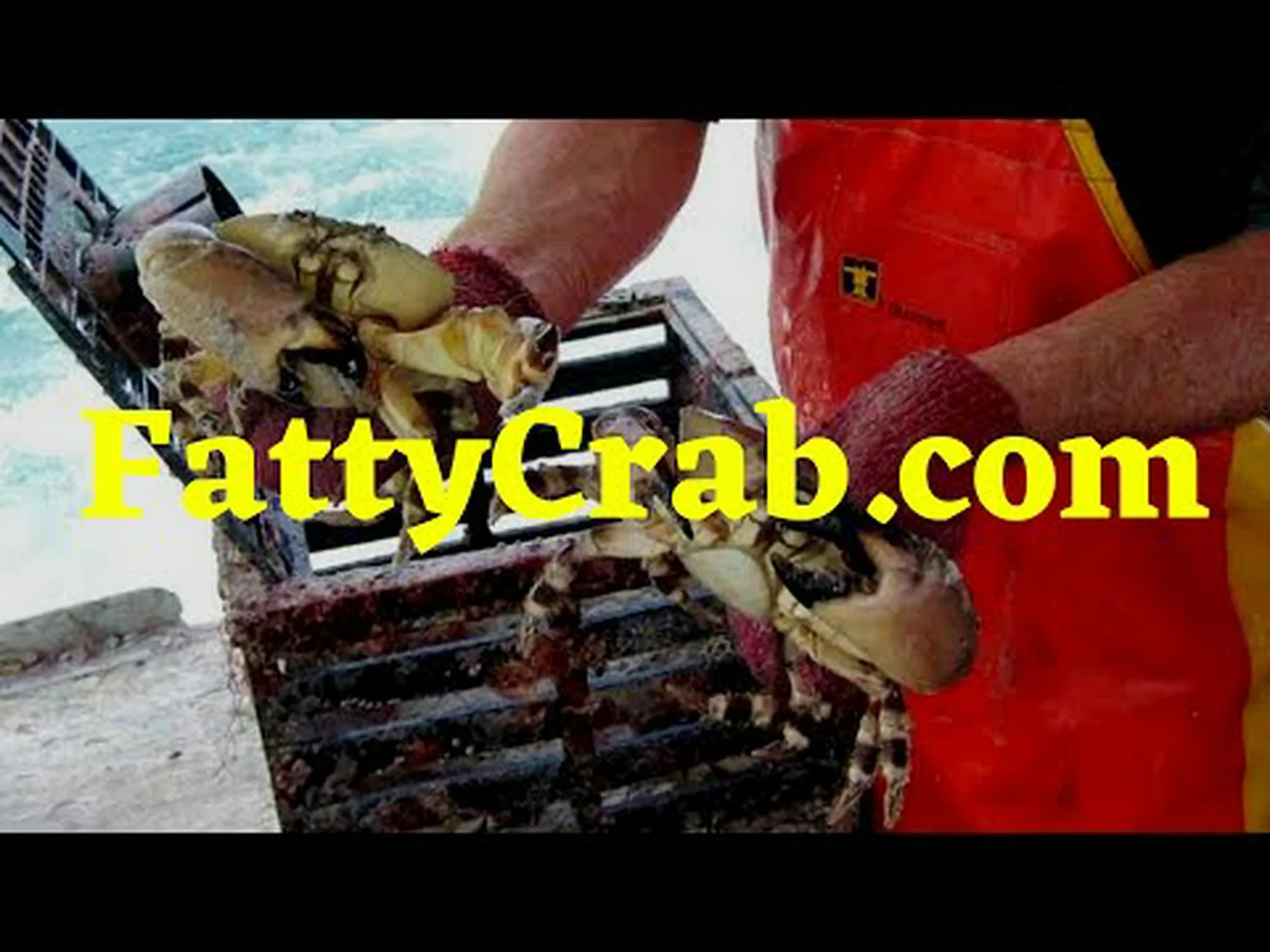 ジョナクラブとストーンクラブの違いは何ですか? ジョナクラブとストーンクラブの違いは何ですか?