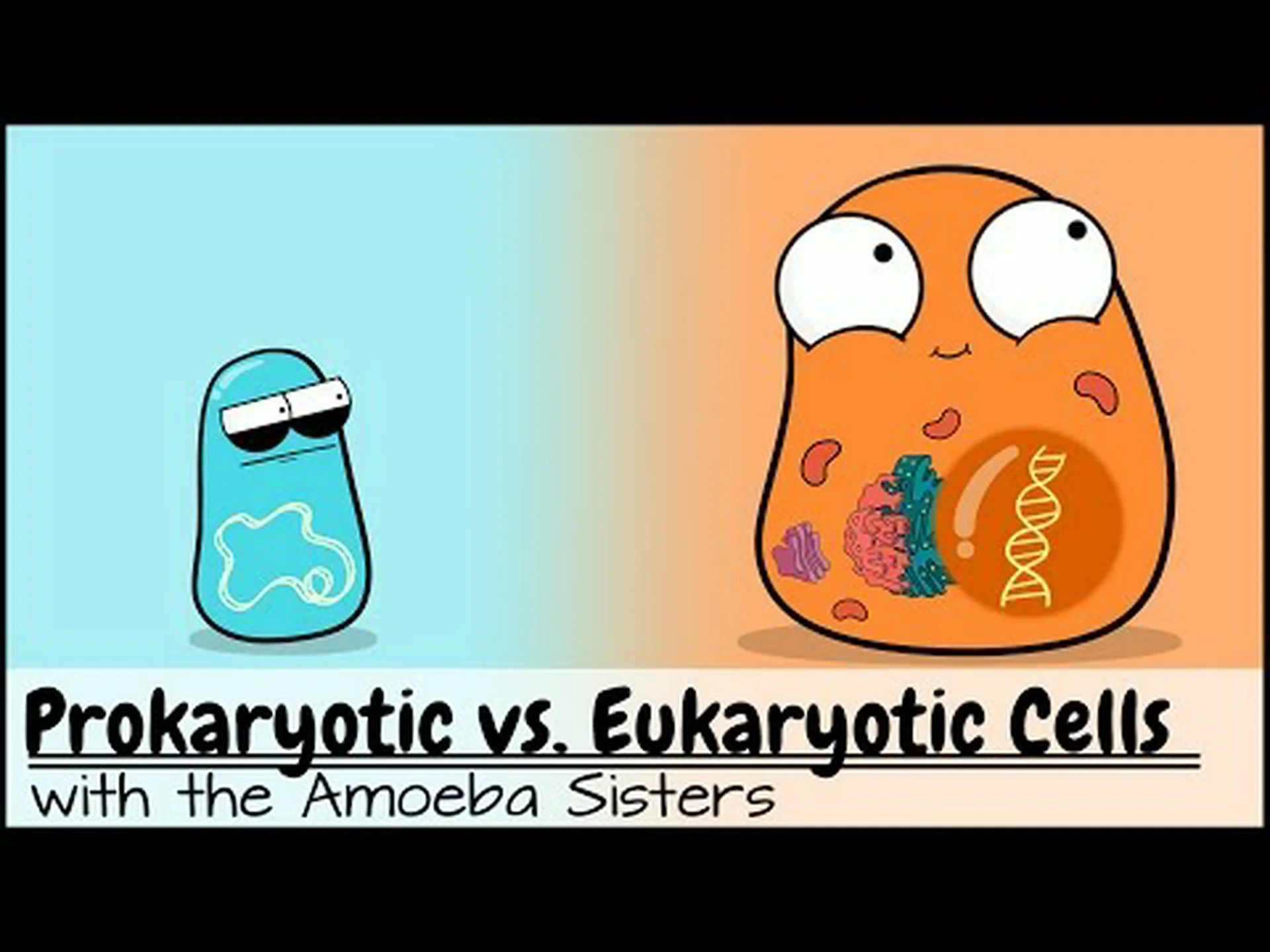 原核生物と真核生物: 主な違いは何ですか? 原核生物と真核生物: 主な違いは何ですか?