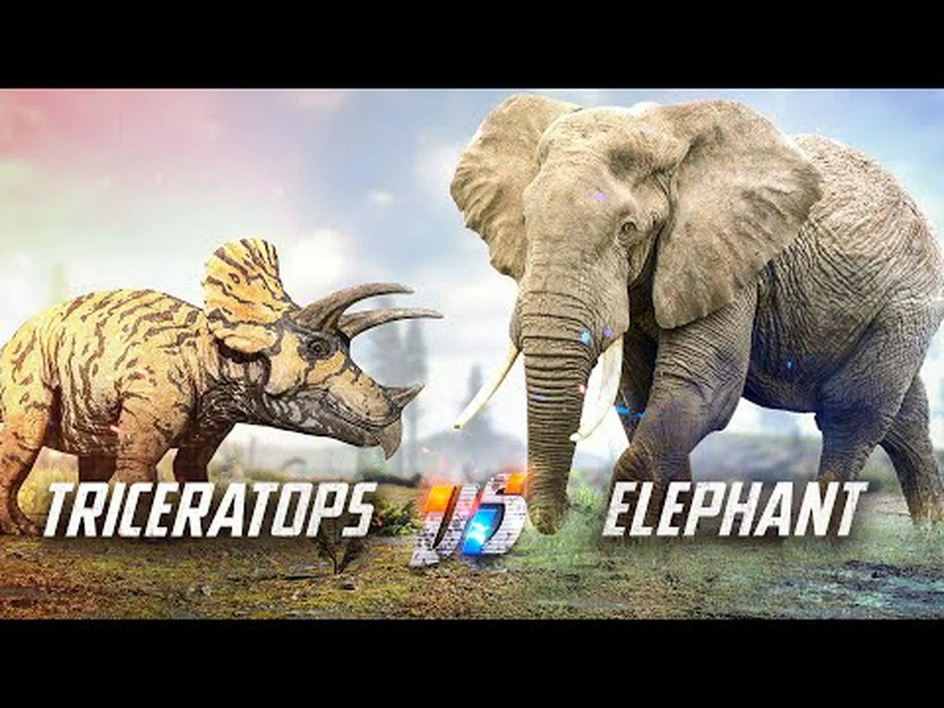 トリケラトプス vs ゾウ: 戦ったら誰が勝つでしょうか? トリケラトプス vs ゾウ: 戦ったら誰が勝つでしょうか?