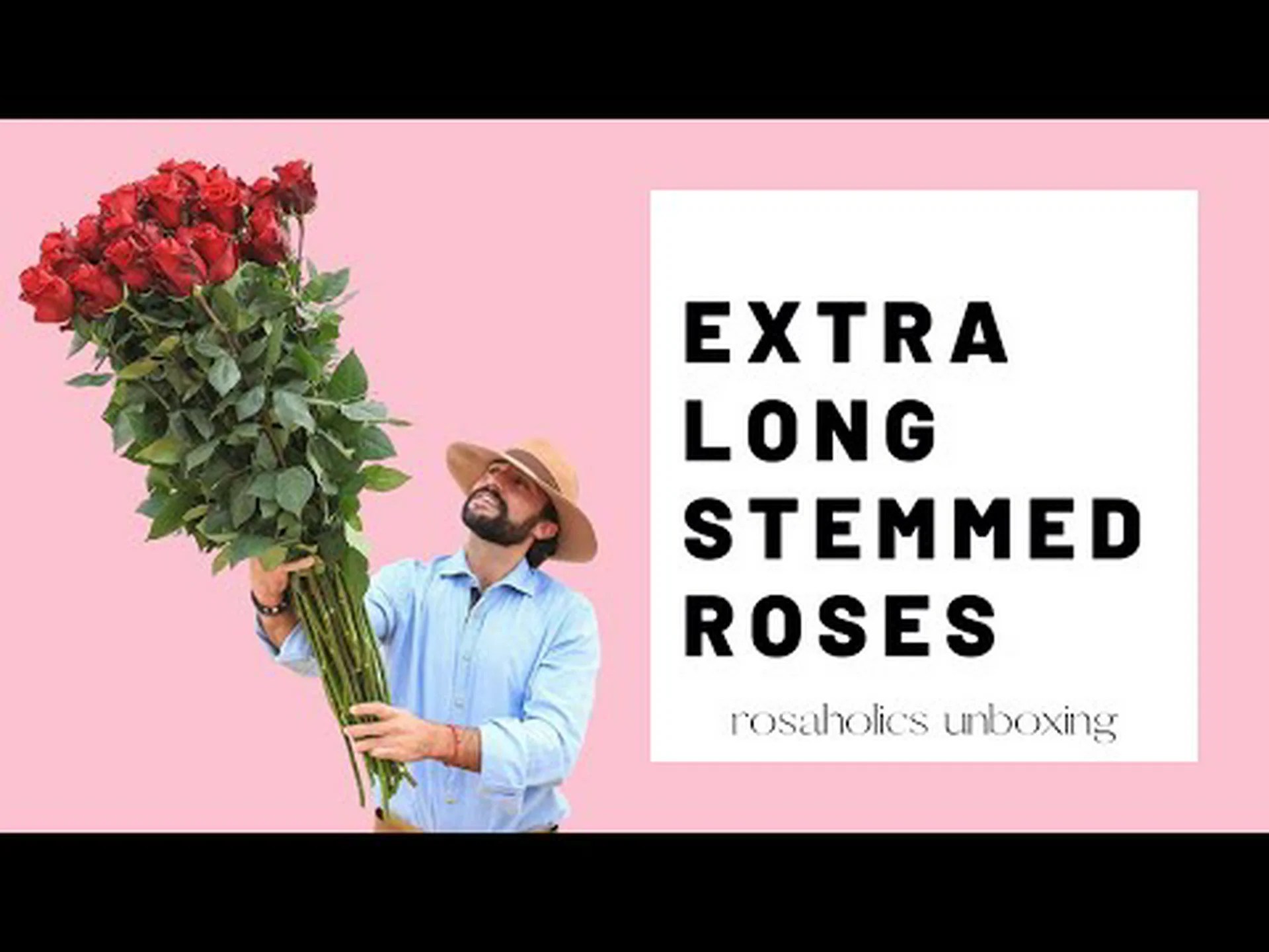 茎の長いバラと普通のバラ: 知っておくべき主な違い 茎の長いバラと普通のバラ: 知っておくべき主な違い