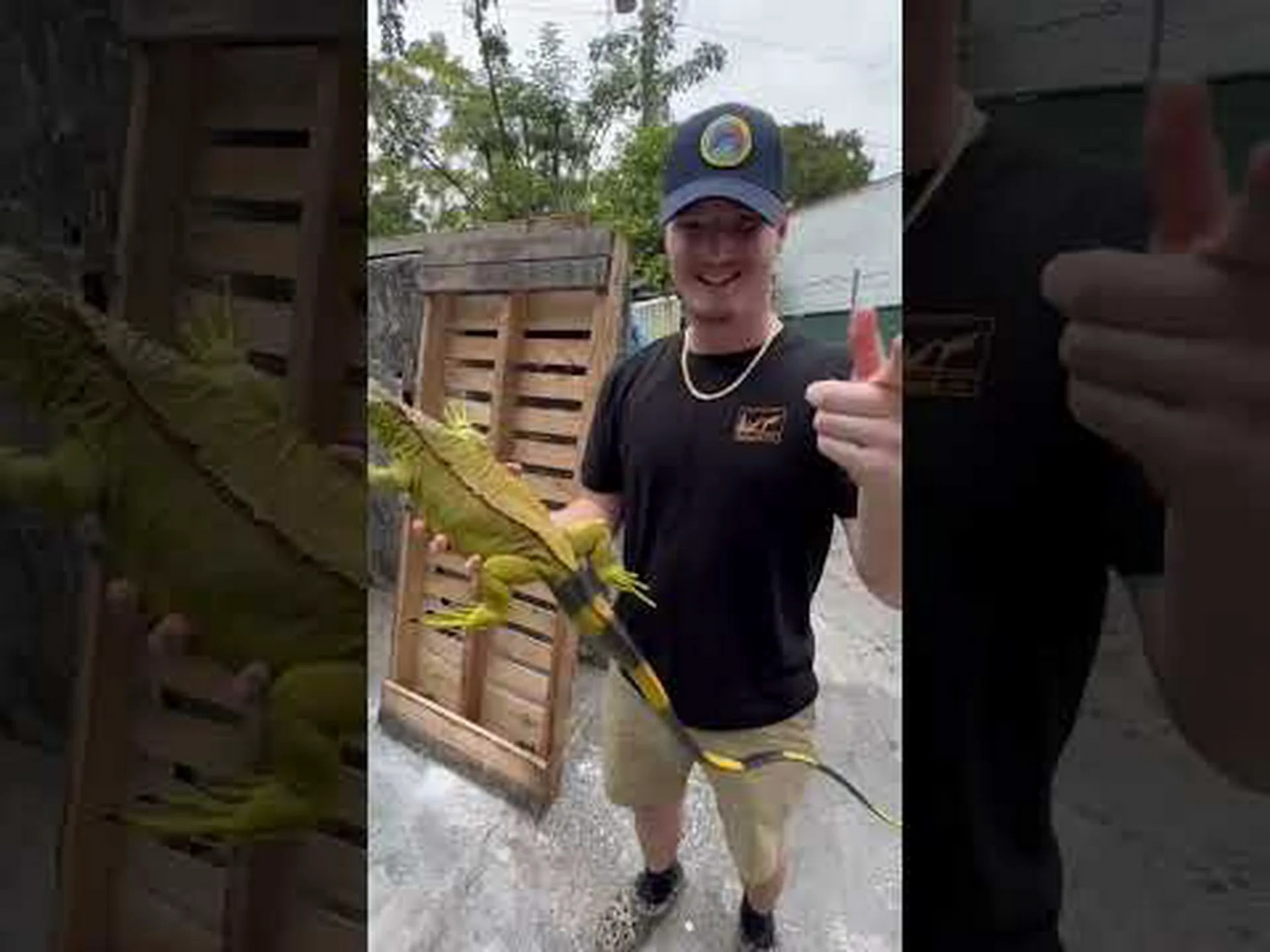 この高さ36フィートのトカゲには恐ろしい巨大な爪がありました この高さ36フィートのトカゲには恐ろしい巨大な爪がありました