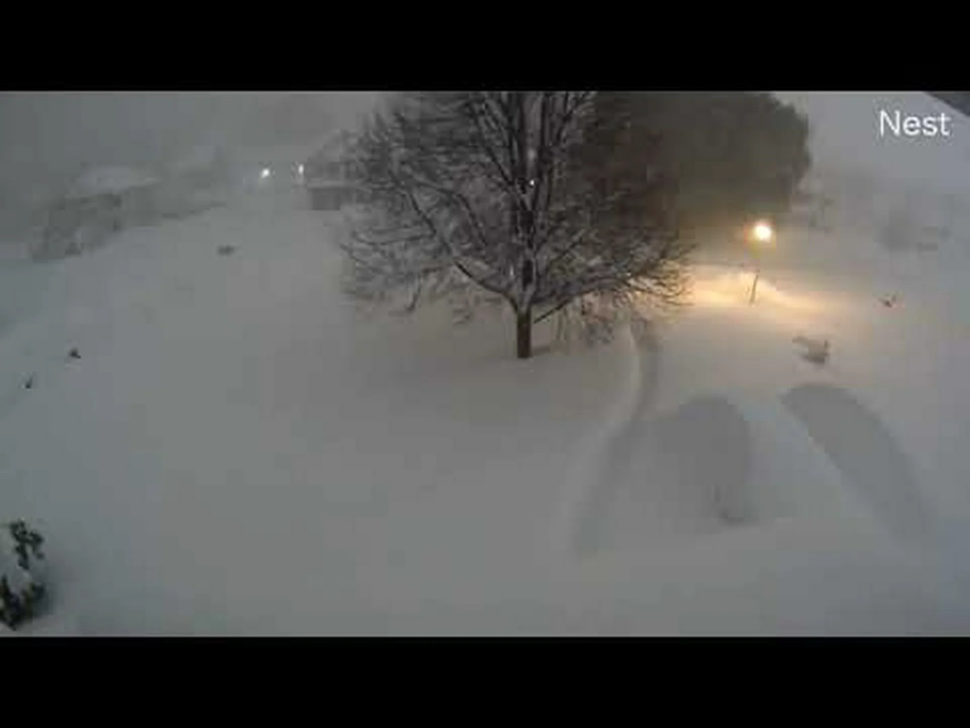 アイダホ州の初雪: 記録上最も早い初雪と最も新しい初雪 アイダホ州の初雪: 記録上最も早い初雪と最も新しい初雪