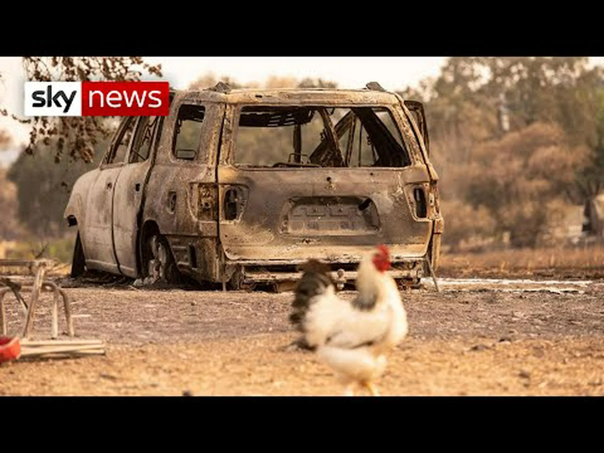 山火事が最悪の州とその理由 山火事が最悪の州とその理由