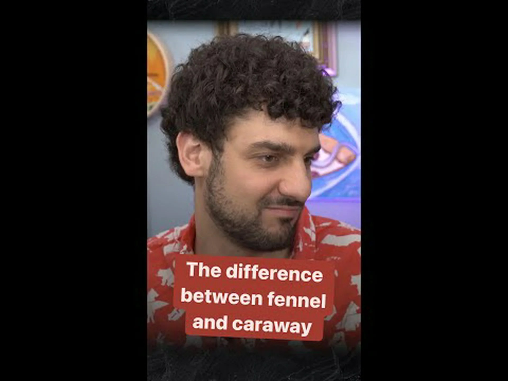 キャラウェイとフェンネル: 5 つの主な違い キャラウェイとフェンネル: 5 つの主な違い