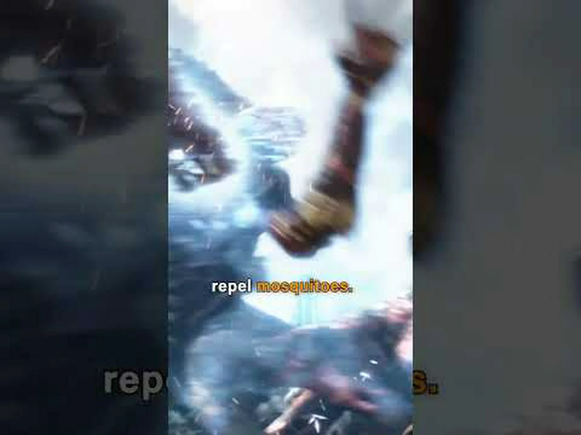 どこにでも水と食べ物があるにもかかわらず、ディズニーが蚊を防ぐ信じられない方法 どこにでも水と食べ物があるにもかかわらず、ディズニーが蚊を防ぐ信じられない方法