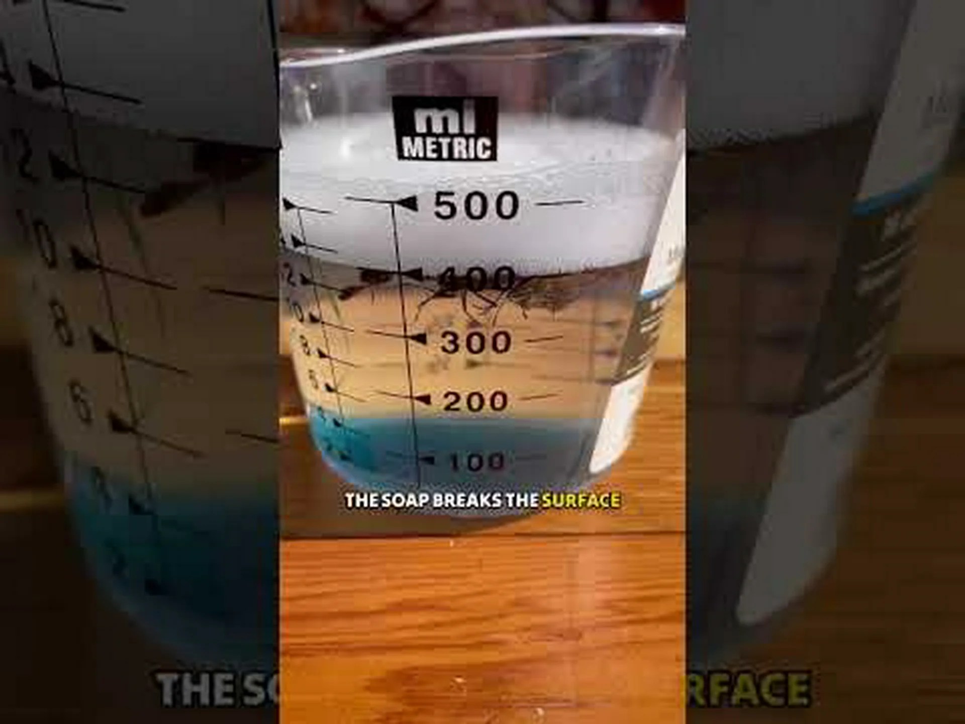 日本のカブトムシが絶対に嫌がる30の匂いを見つけて遠ざけよう 日本のカブトムシが絶対に嫌がる30の匂いを見つけて遠ざけよう