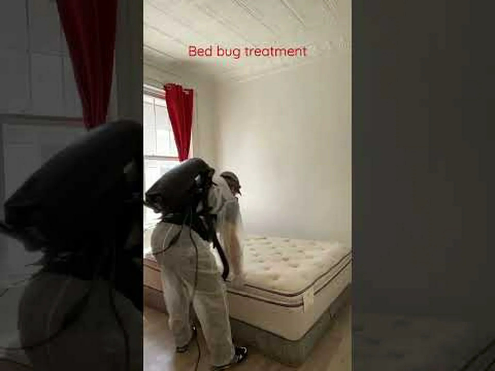 トコジラミ駆除業者: 適切な会社の選び方 トコジラミ駆除業者: 適切な会社の選び方