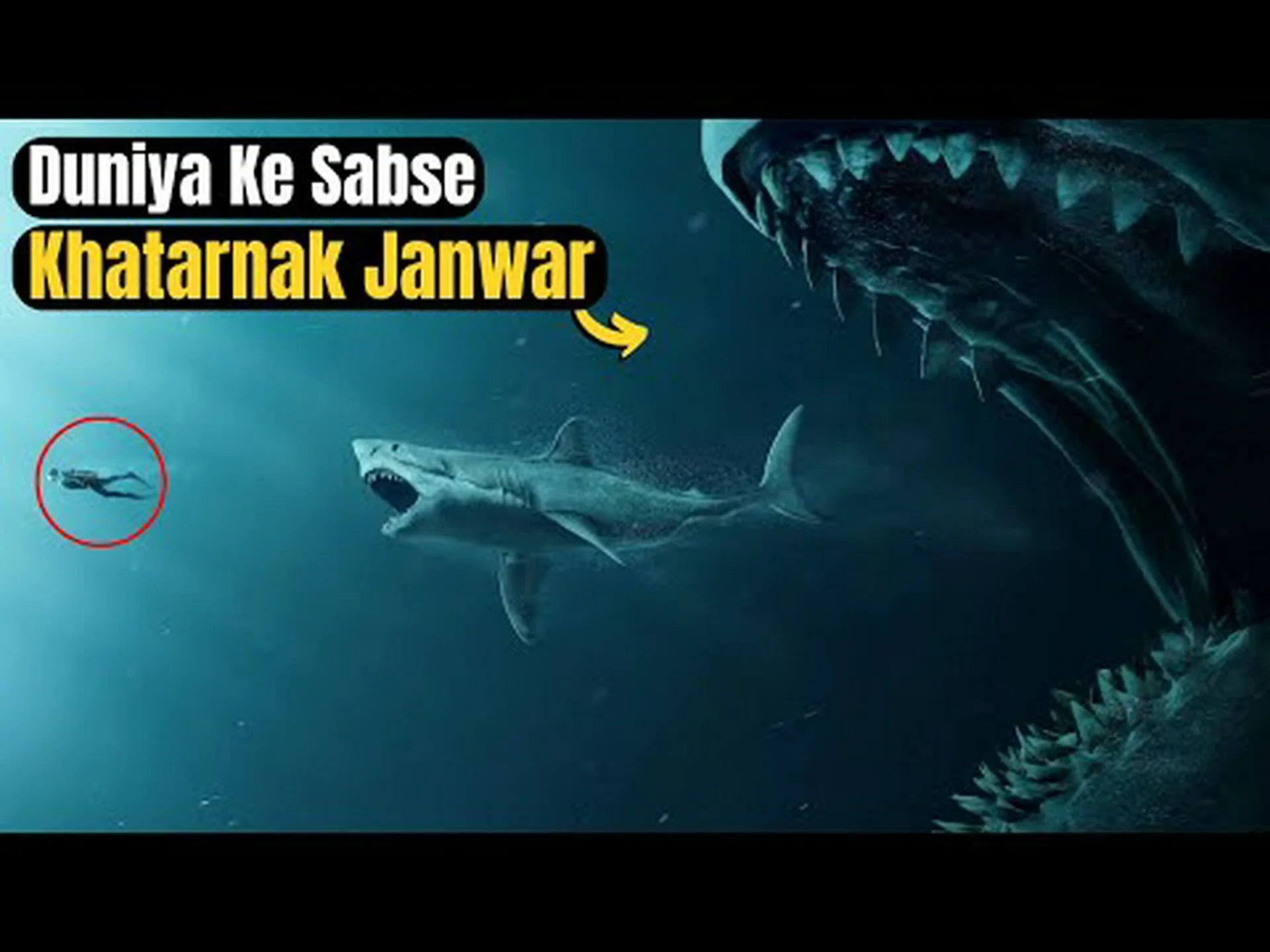 ワイオミング州で最も危険な (最も致命的!) 動物を発見する ワイオミング州で最も危険な (最も致命的!) 動物を発見する