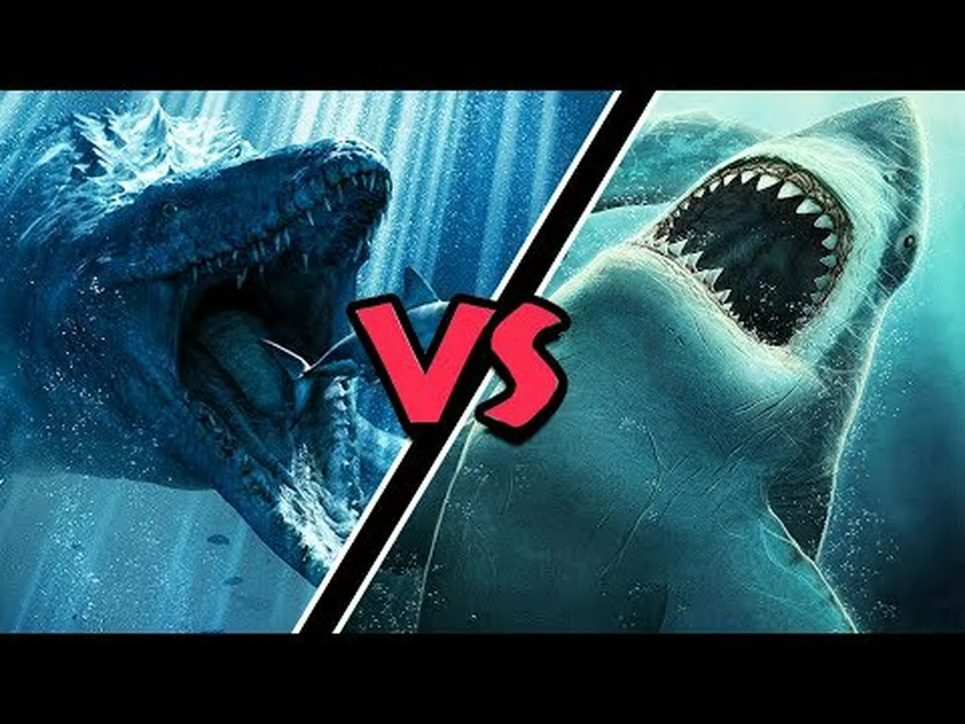 モササウルス vs メガロドン: 戦ったらどちらが勝つでしょうか? モササウルス vs メガロドン: 戦ったらどちらが勝つでしょうか?