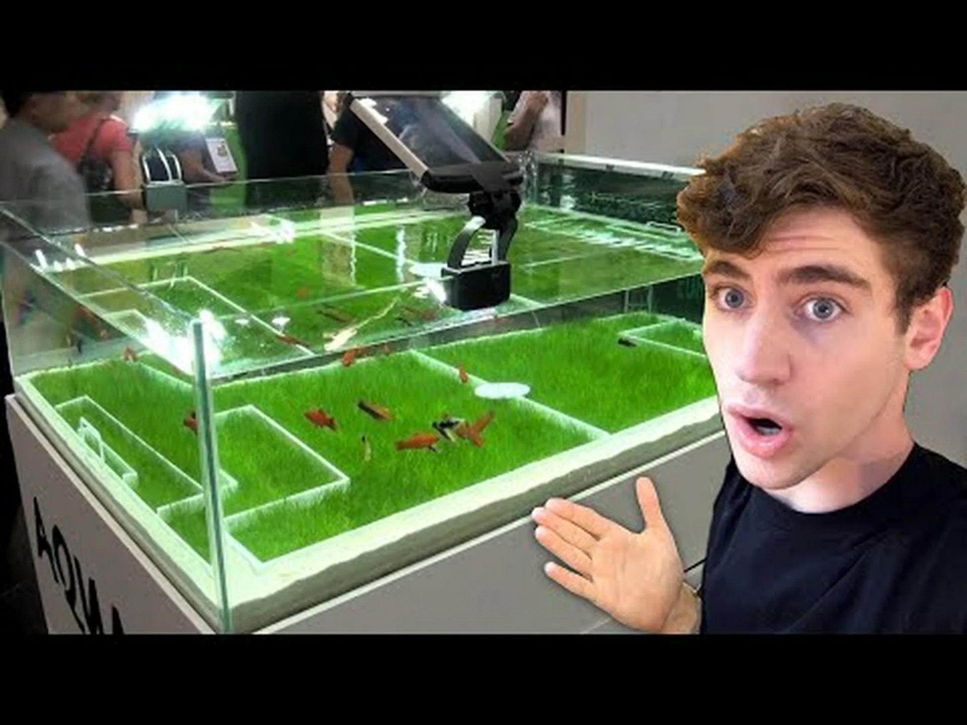 ノースカロライナ州のベスト水族館 3 ノースカロライナ州のベスト水族館 3