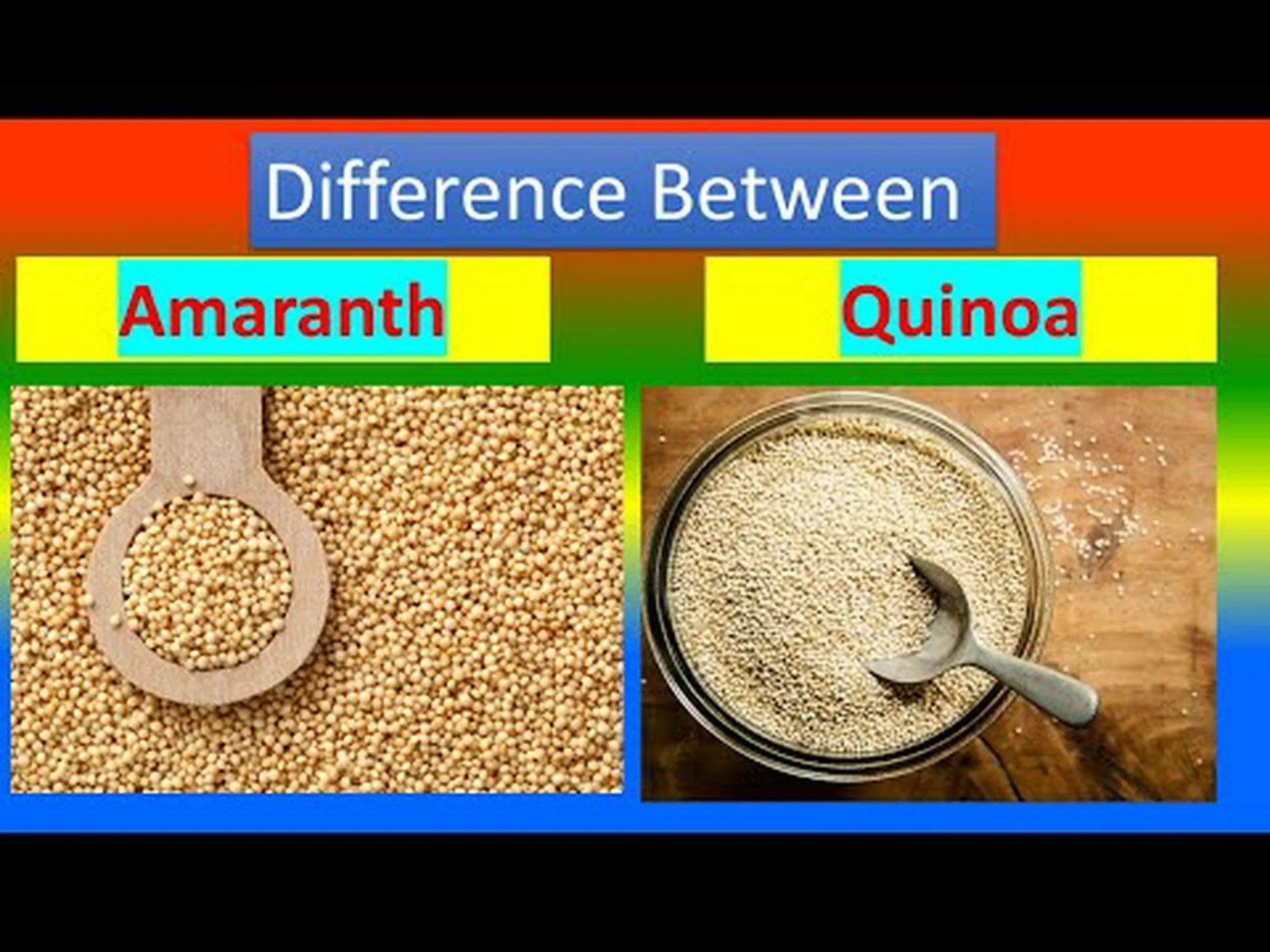 アマランサスとキヌア: 違いは何ですか? アマランサスとキヌア: 違いは何ですか?