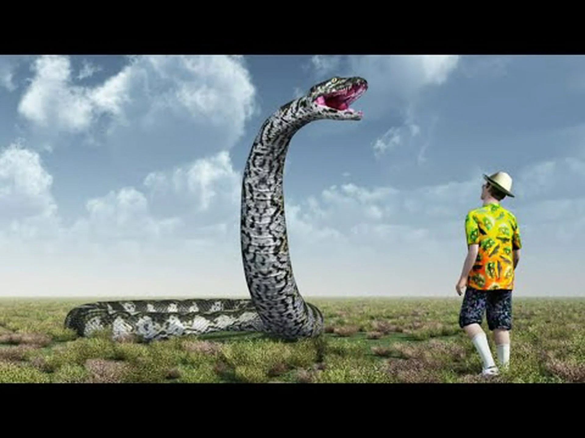 これまでに発見された最大のヘビの化石について学ぶ これまでに発見された最大のヘビの化石について学ぶ