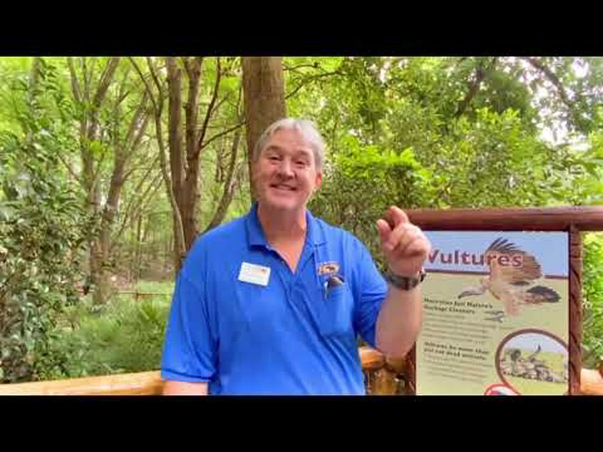 ノースカロライナ州のハゲワシ: 種類とそれぞれの見分け方 ノースカロライナ州のハゲワシ: 種類とそれぞれの見分け方