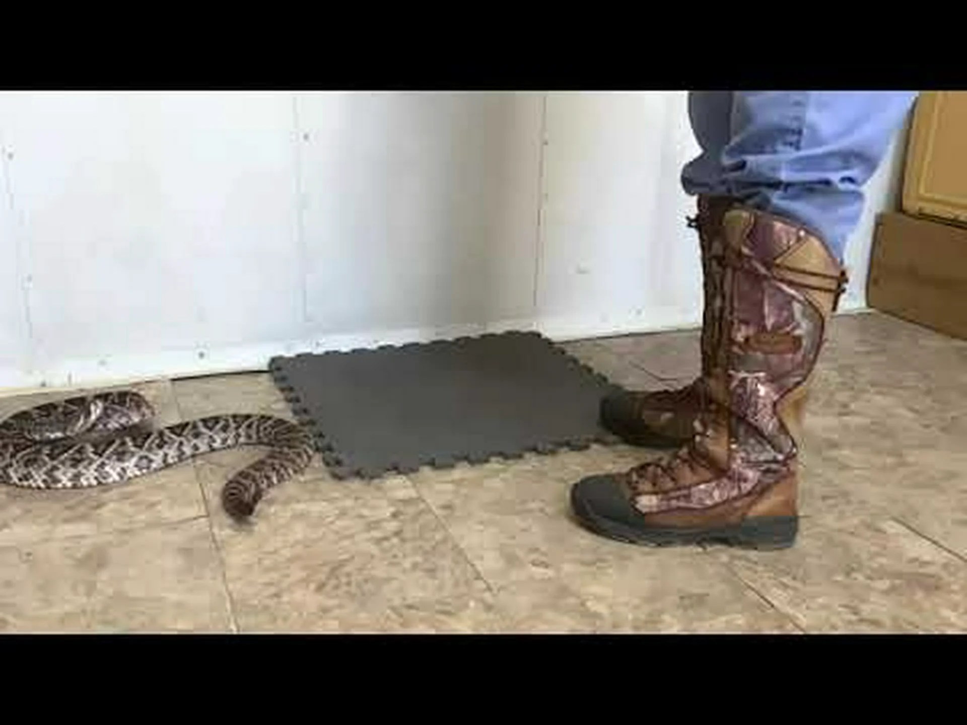 スローモーションで攻撃し、カメラを毒で覆うこのガラガラヘビを捉えた素晴らしい映像 スローモーションで攻撃し、カメラを毒で覆うこのガラガラヘビを捉えた素晴らしい映像