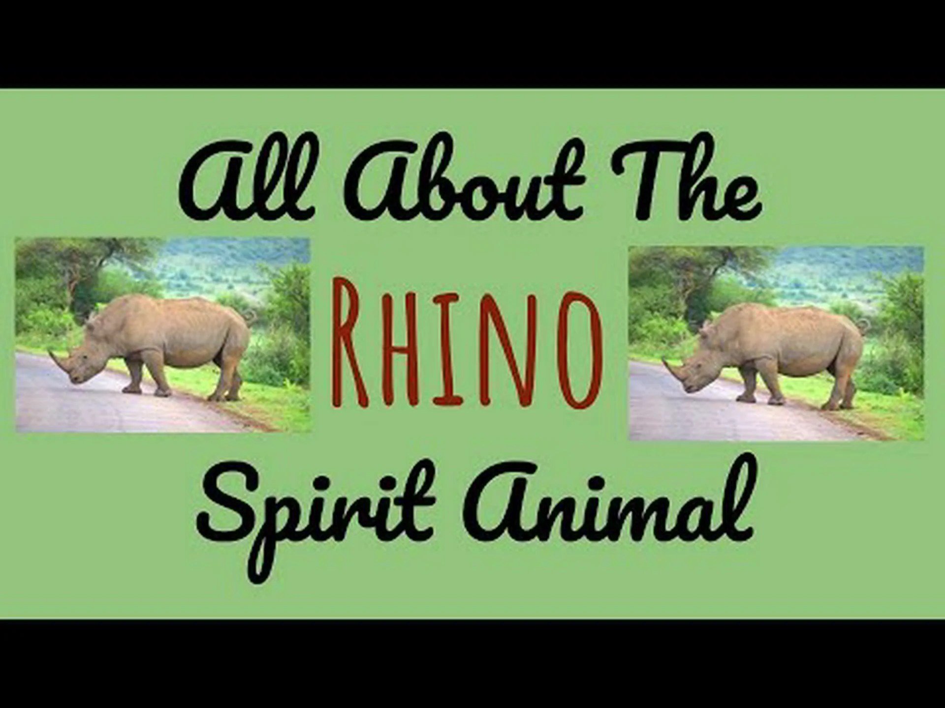 Rhino スピリット動物の象徴性と意味 Rhino スピリット動物の象徴性と意味