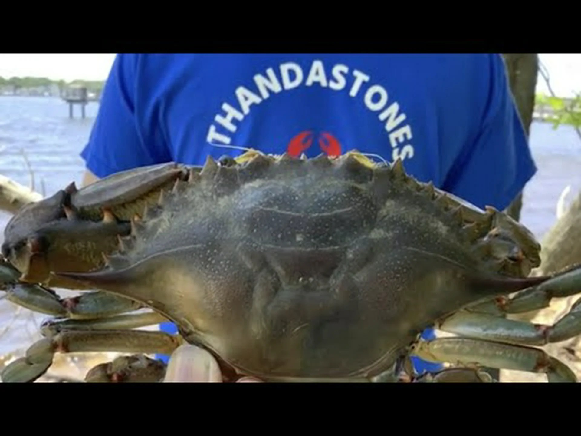 ニュージャージー州のカニ釣りシーズン: タイミング、手荷物制限、その他の重要な規則 ニュージャージー州のカニ釣りシーズン: タイミング、手荷物制限、その他の重要な規則