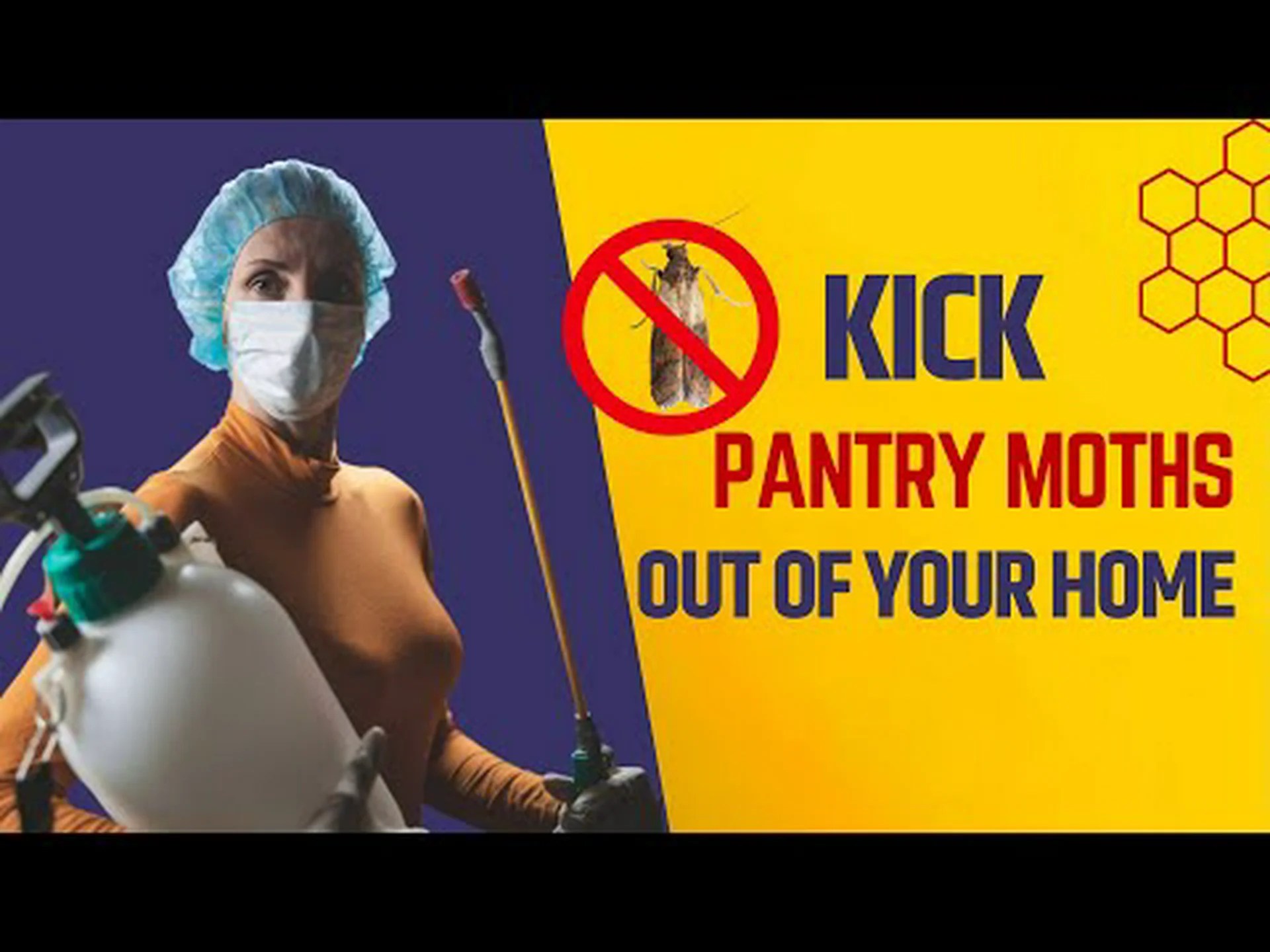 パントリーの蛾を駆除する7つの効果的な方法 パントリーの蛾を駆除する7つの効果的な方法