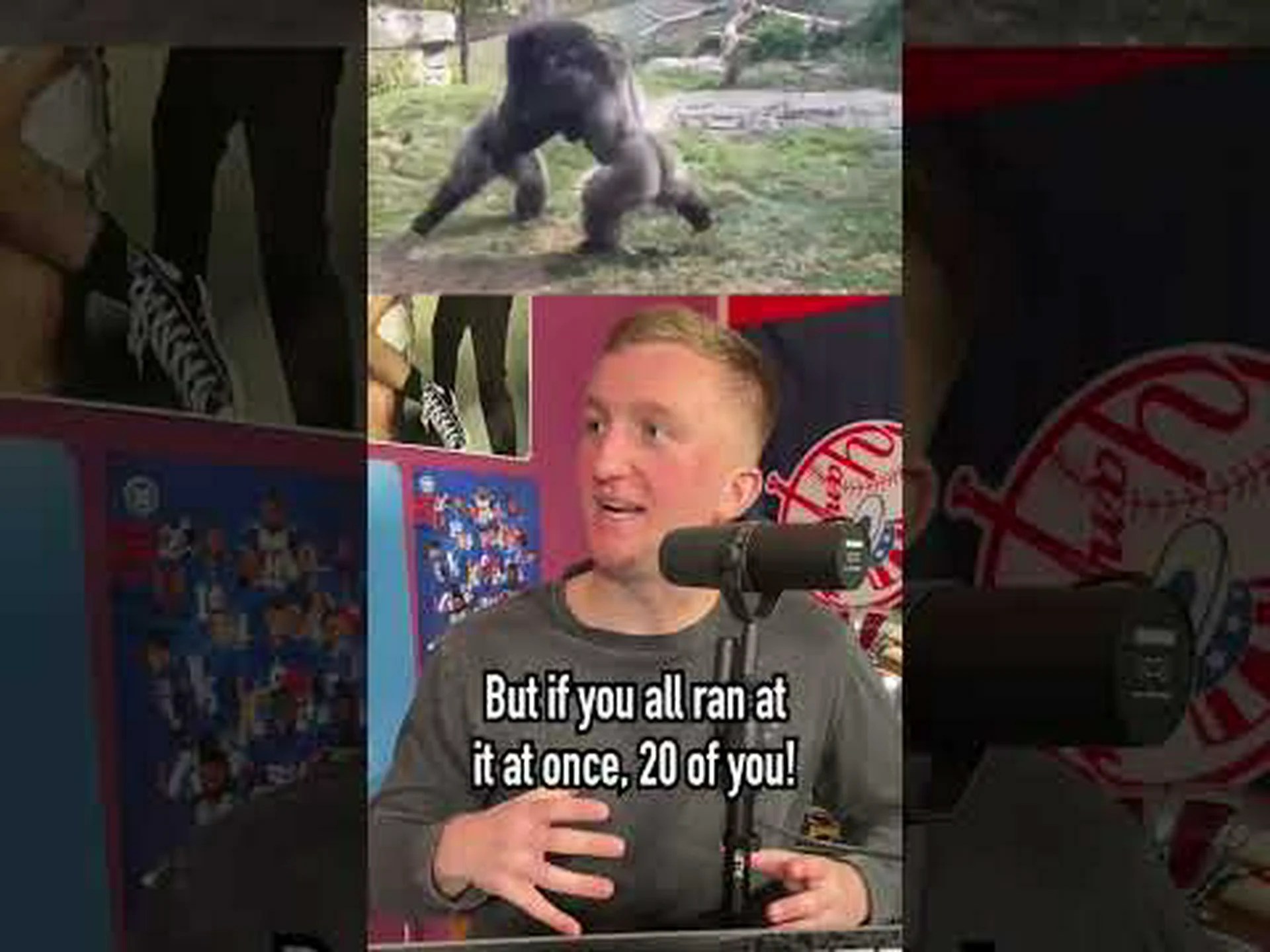 武器を持たない人間がゴリラに勝てるでしょうか? 武器を持たない人間がゴリラに勝てるでしょうか?