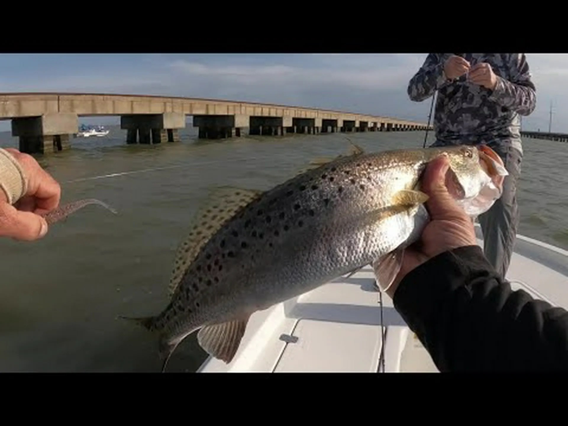 ポンチャートレイン湖の釣り、サイズ、深さなど ポンチャートレイン湖の釣り、サイズ、深さなど