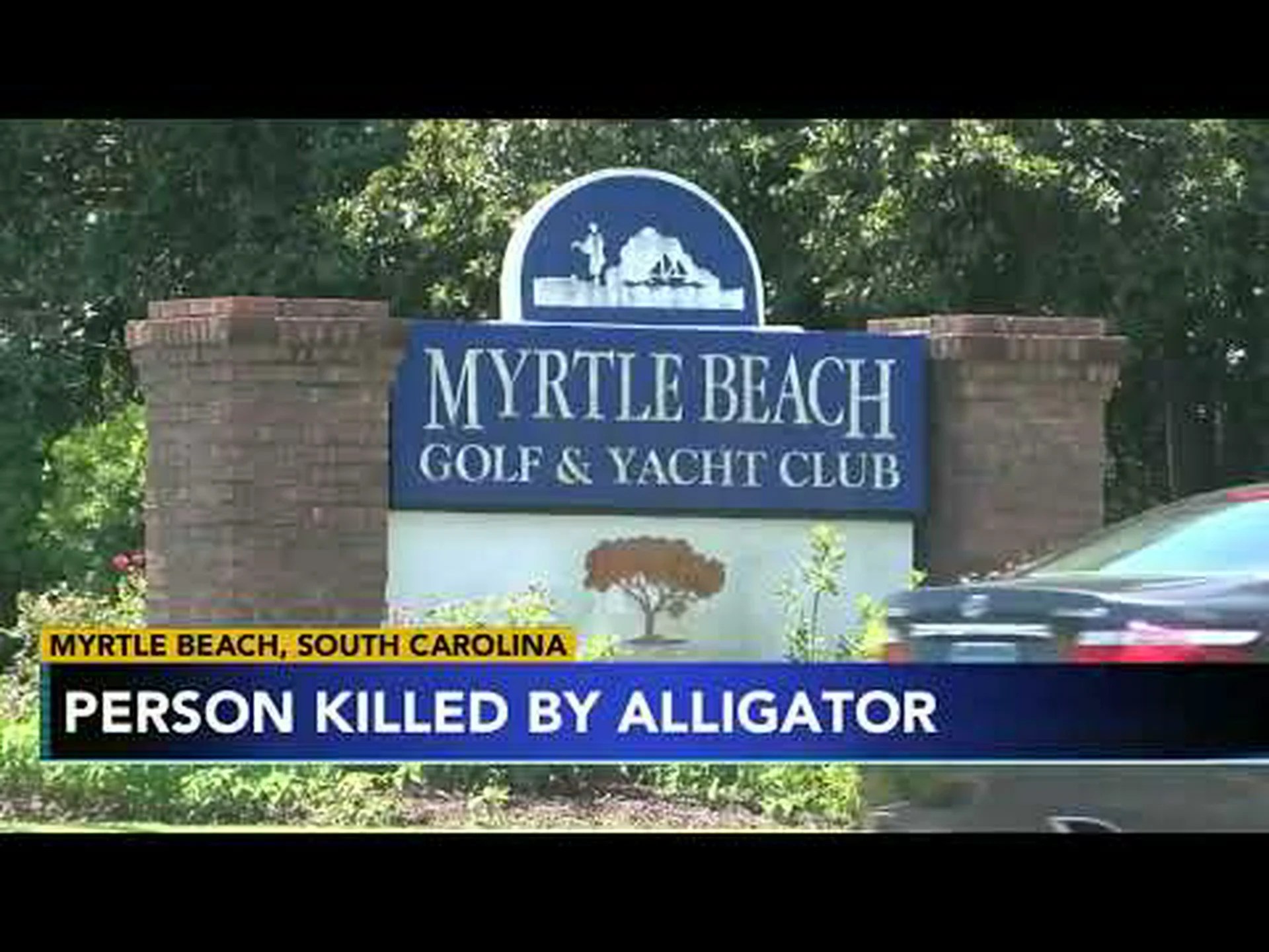 マートルビーチヨットクラブでのワニ襲撃による致命傷:サウスカロライナ州での事件が増加している理由 マートルビーチヨットクラブでのワニ襲撃による致命傷:サウスカロライナ州での事件が増加している理由