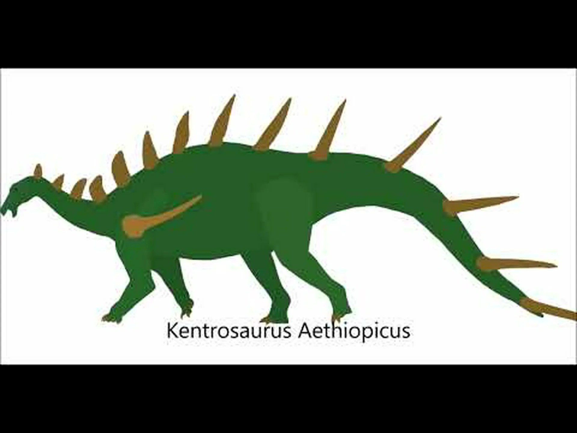 ステゴサウルス vs ケントロサウルス: 戦ったらどちらが勝つでしょうか? ステゴサウルス vs ケントロサウルス: 戦ったらどちらが勝つでしょうか?