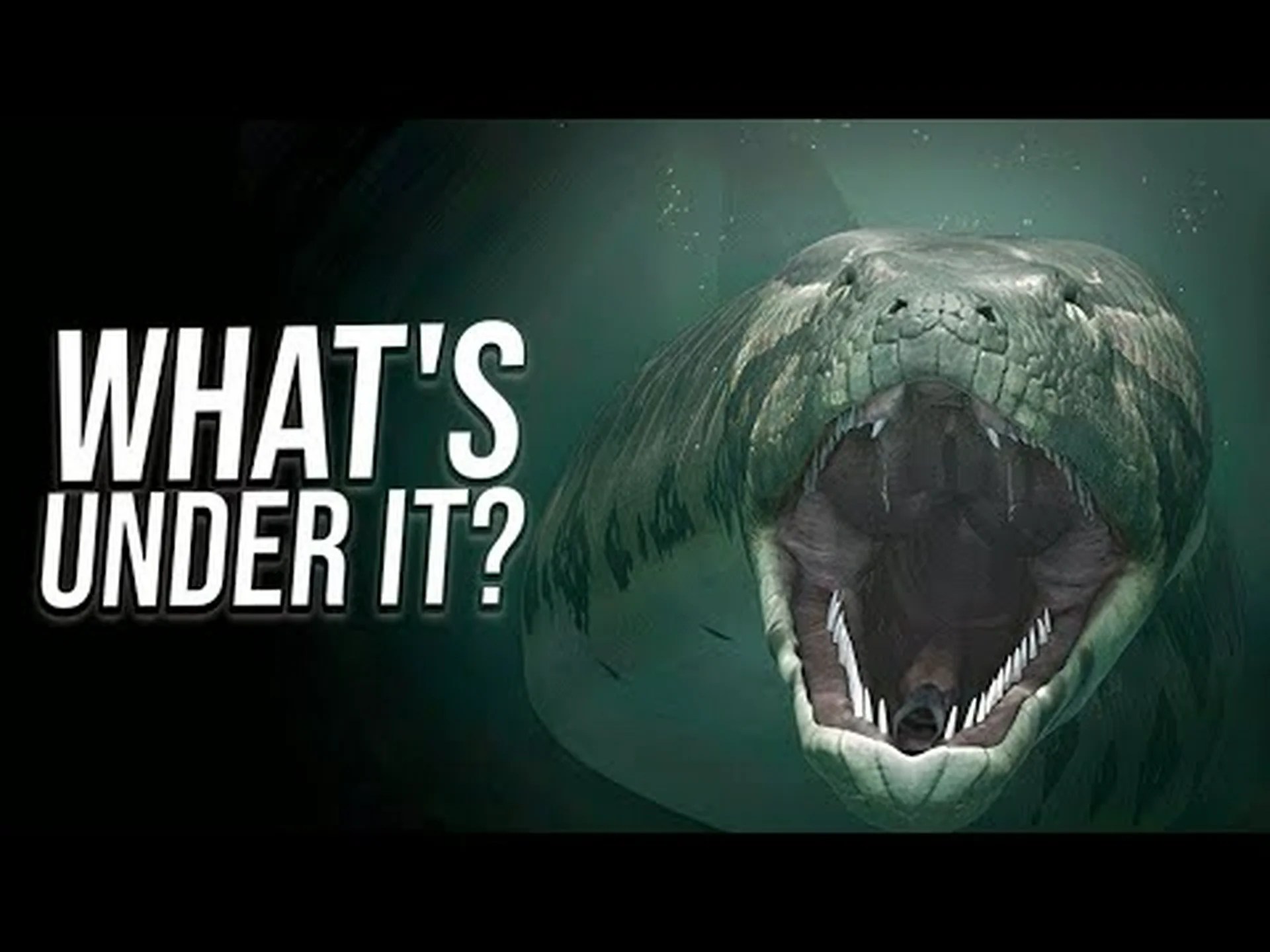 人がアマゾン川を泳ぎ切るにはどれくらい時間がかかりますか? 人がアマゾン川を泳ぎ切るにはどれくらい時間がかかりますか?