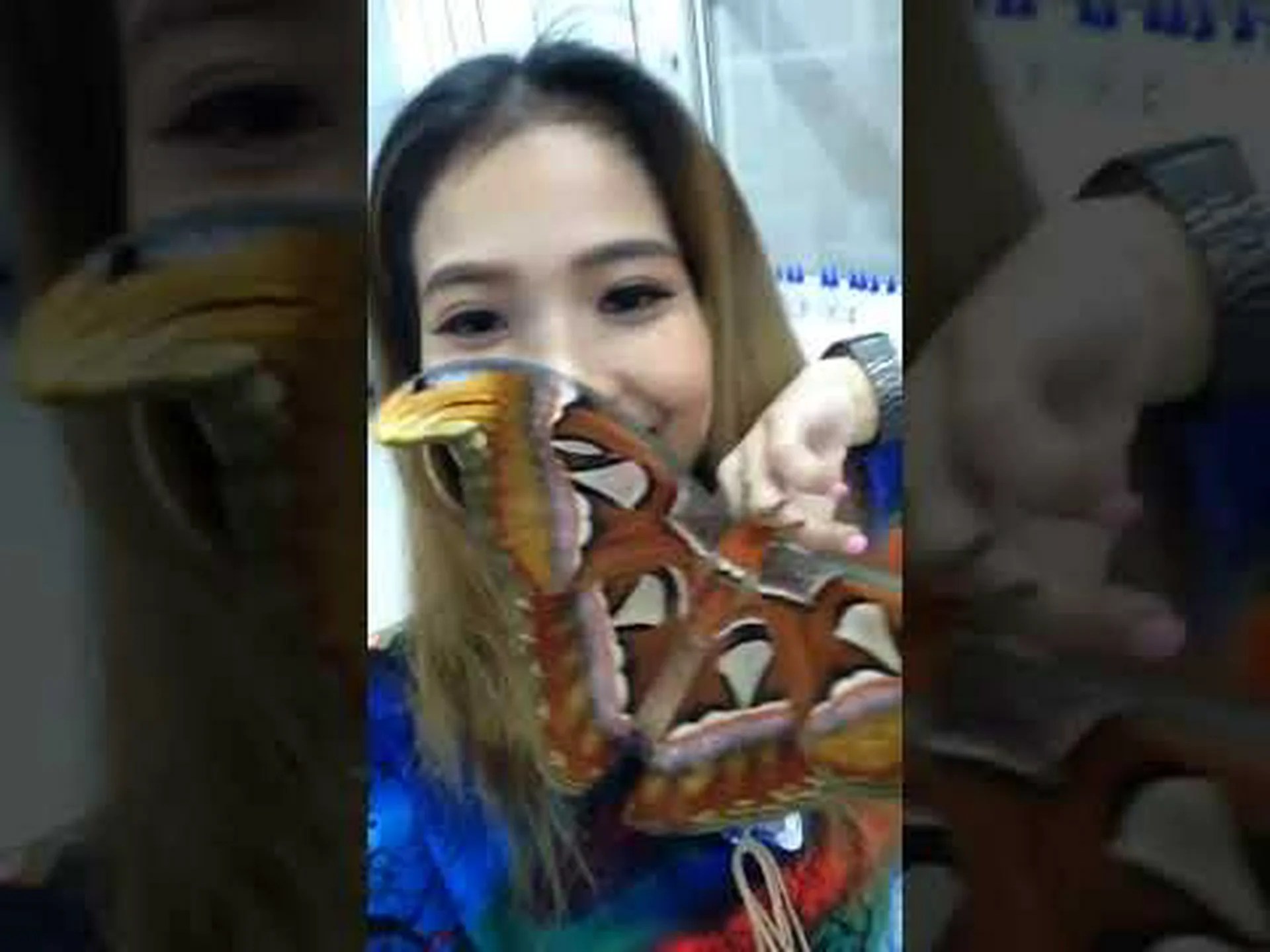 世界最大級の蛾が生き残るためにヘビに化ける方法! 世界最大級の蛾が生き残るためにヘビに化ける方法!