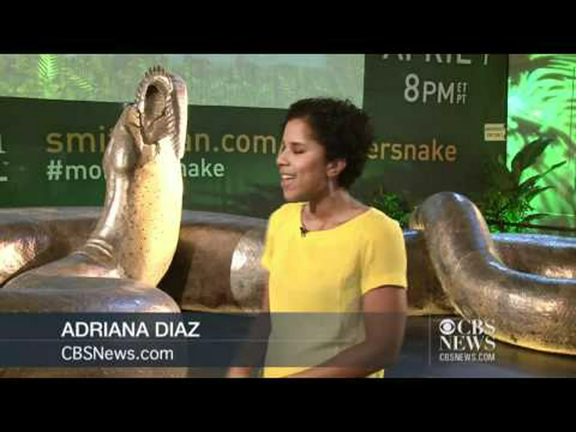 スクールバスほどもある史上最大のヘビを発見 スクールバスほどもある史上最大のヘビを発見